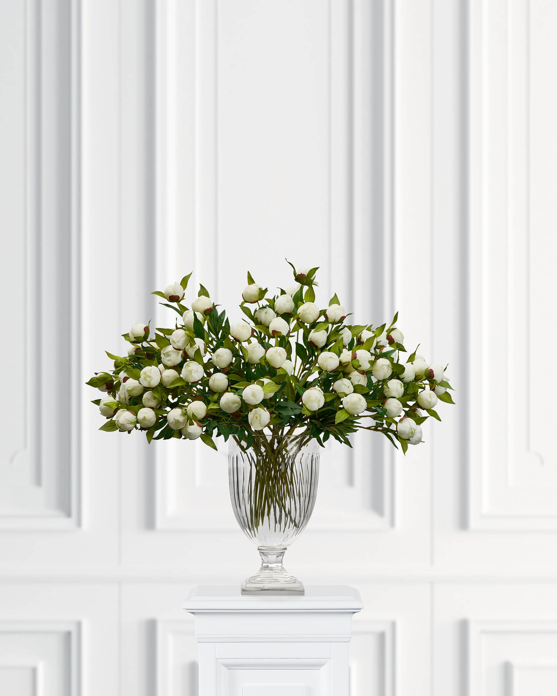 Peony Cut Flower White