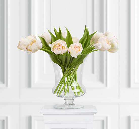 Wit - Tulip Cut Flower Cream