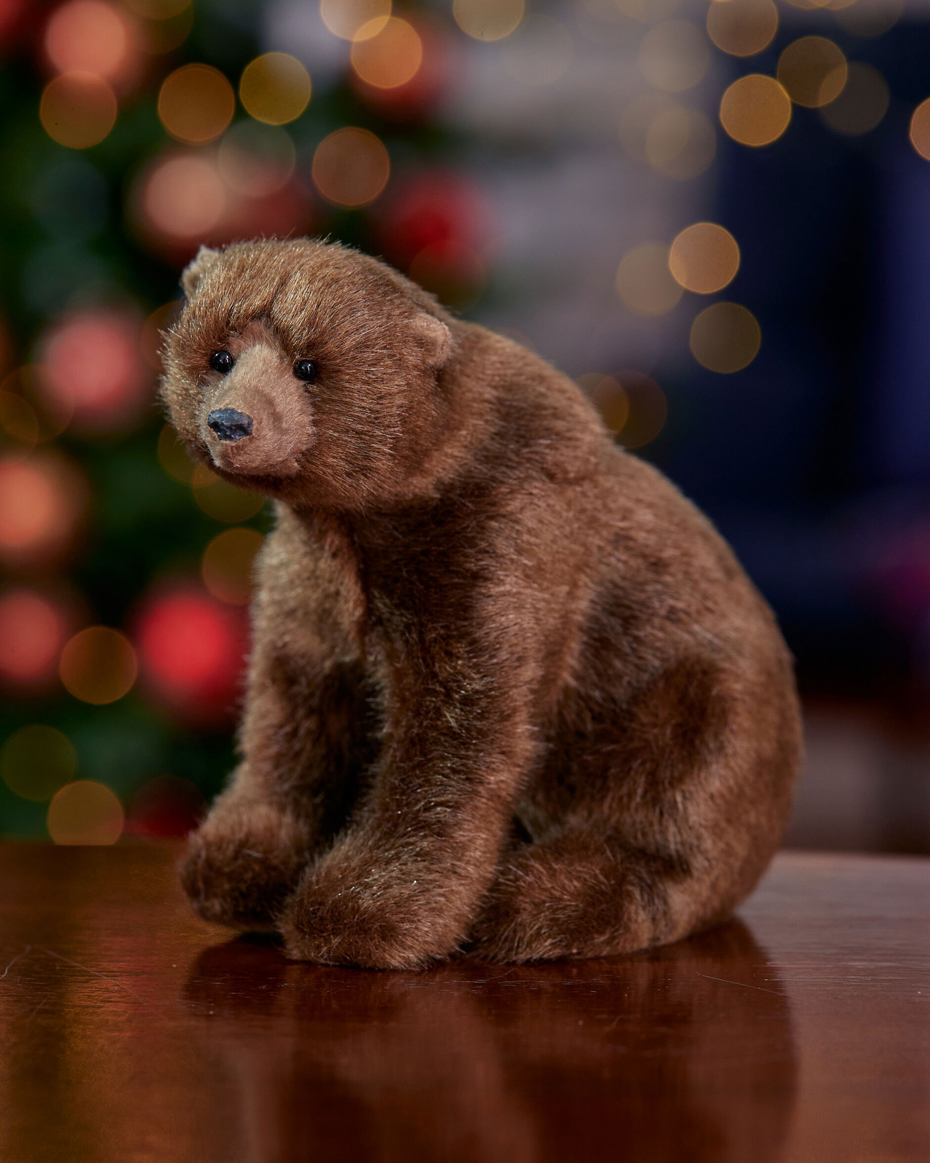 Leopold karhu koriste