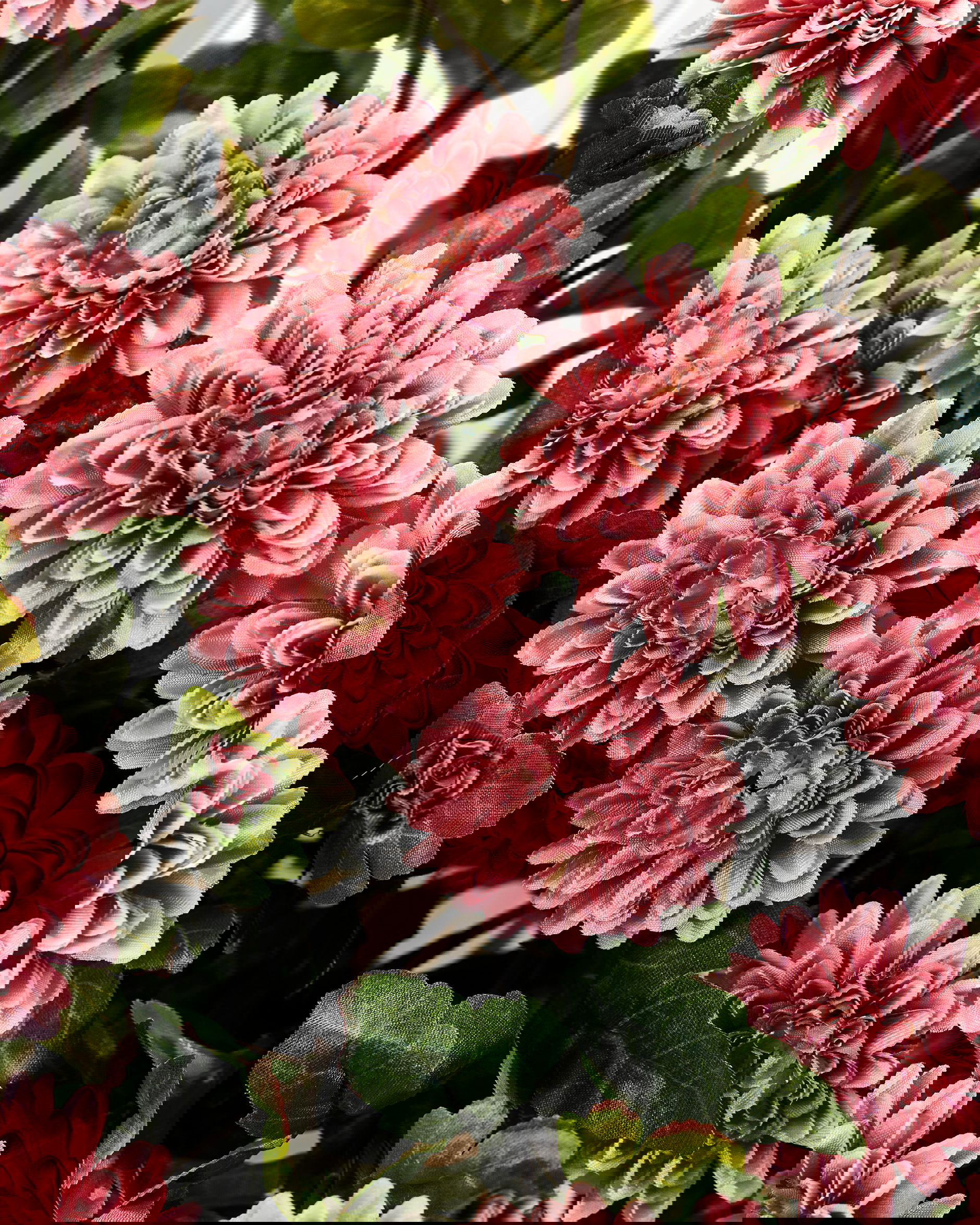 Chrysanthemum snittblomma rosa 53cm