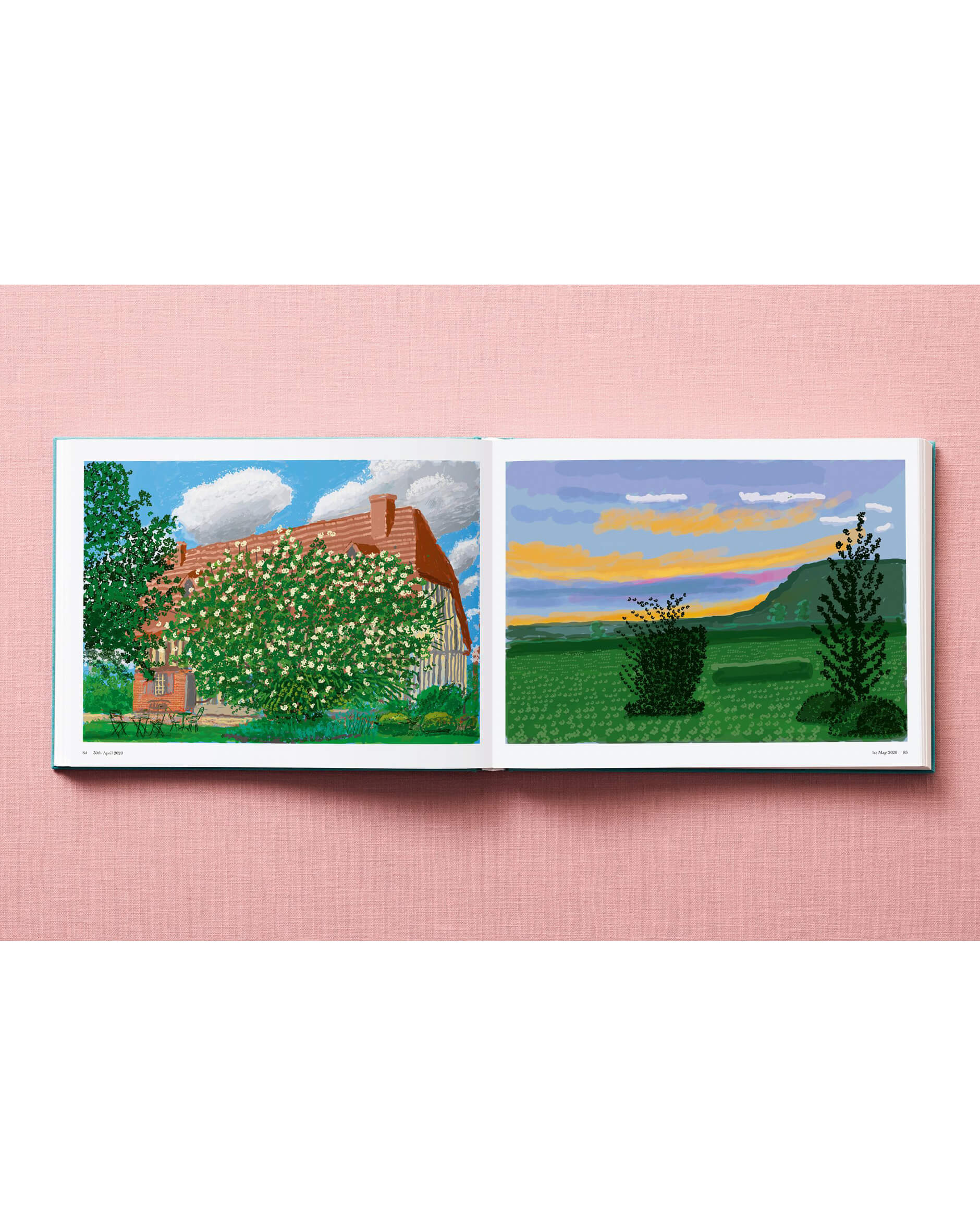 David Hockney. 220 for 2020