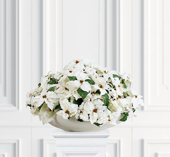 White - Christmas Star Bouquet White
