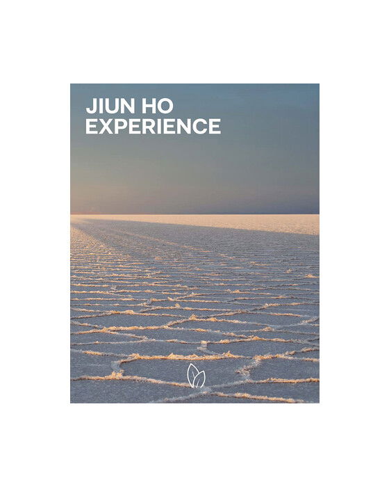 Jiun Ho: Experience