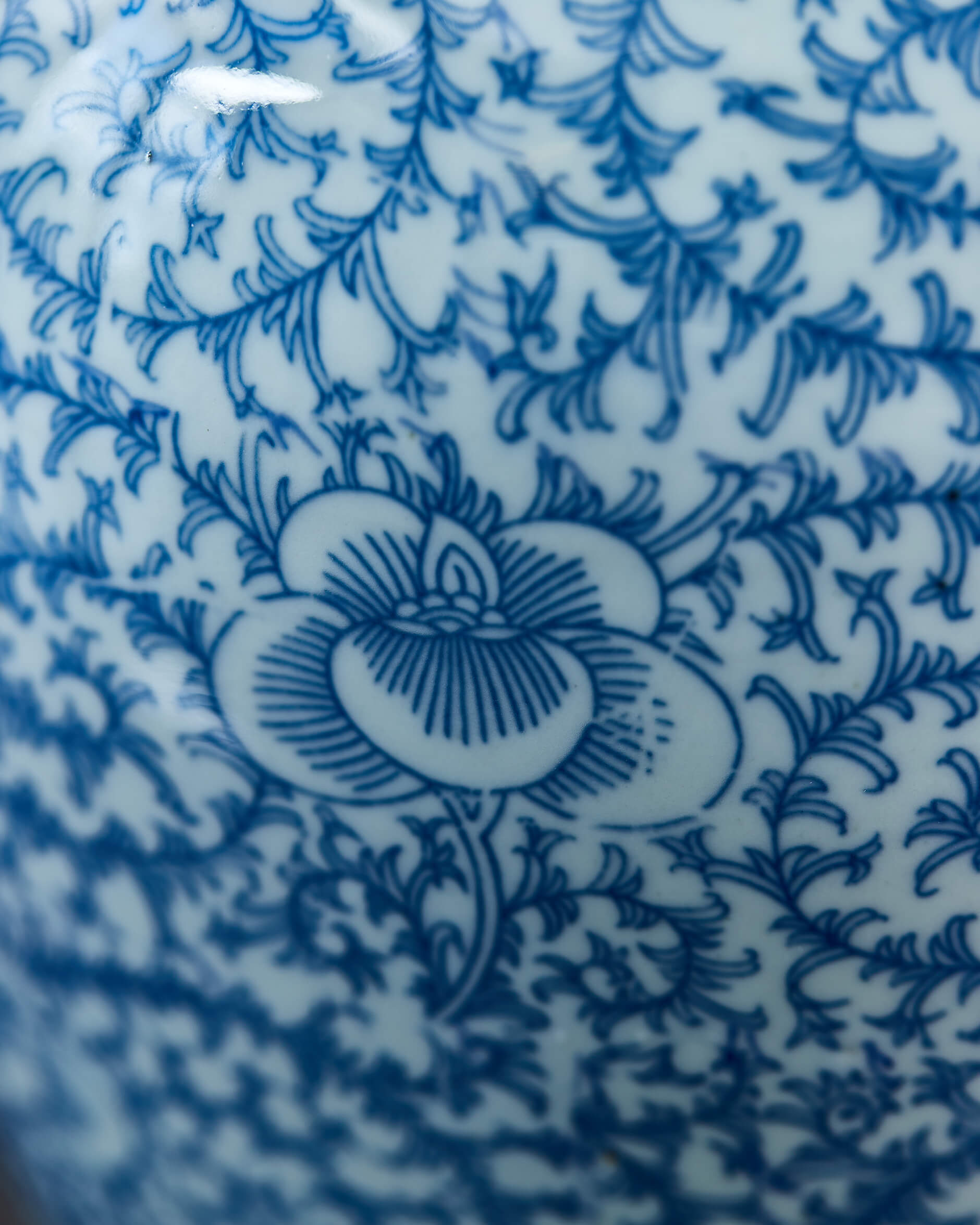 Leora ingefärskrus vit/blå