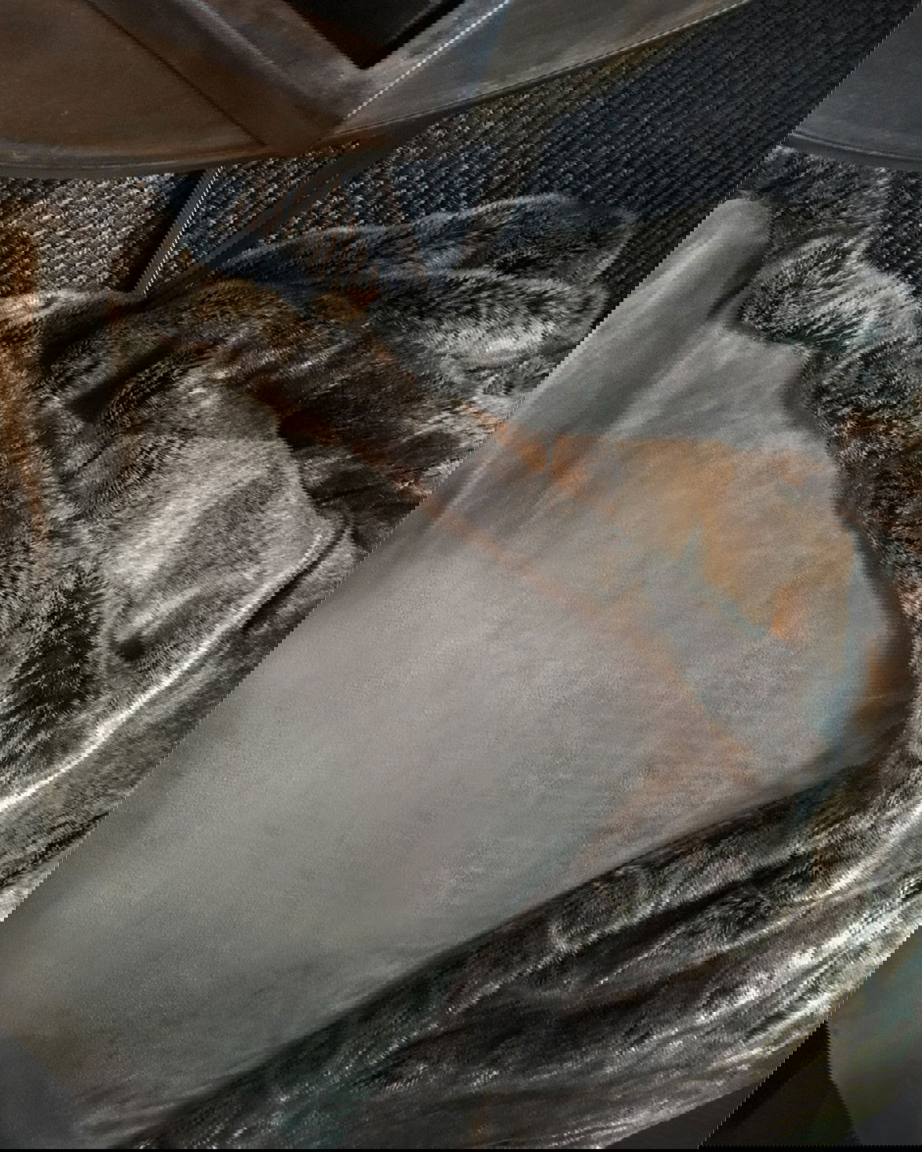 Bear Valboa Cushion Cover Grey OUTLET