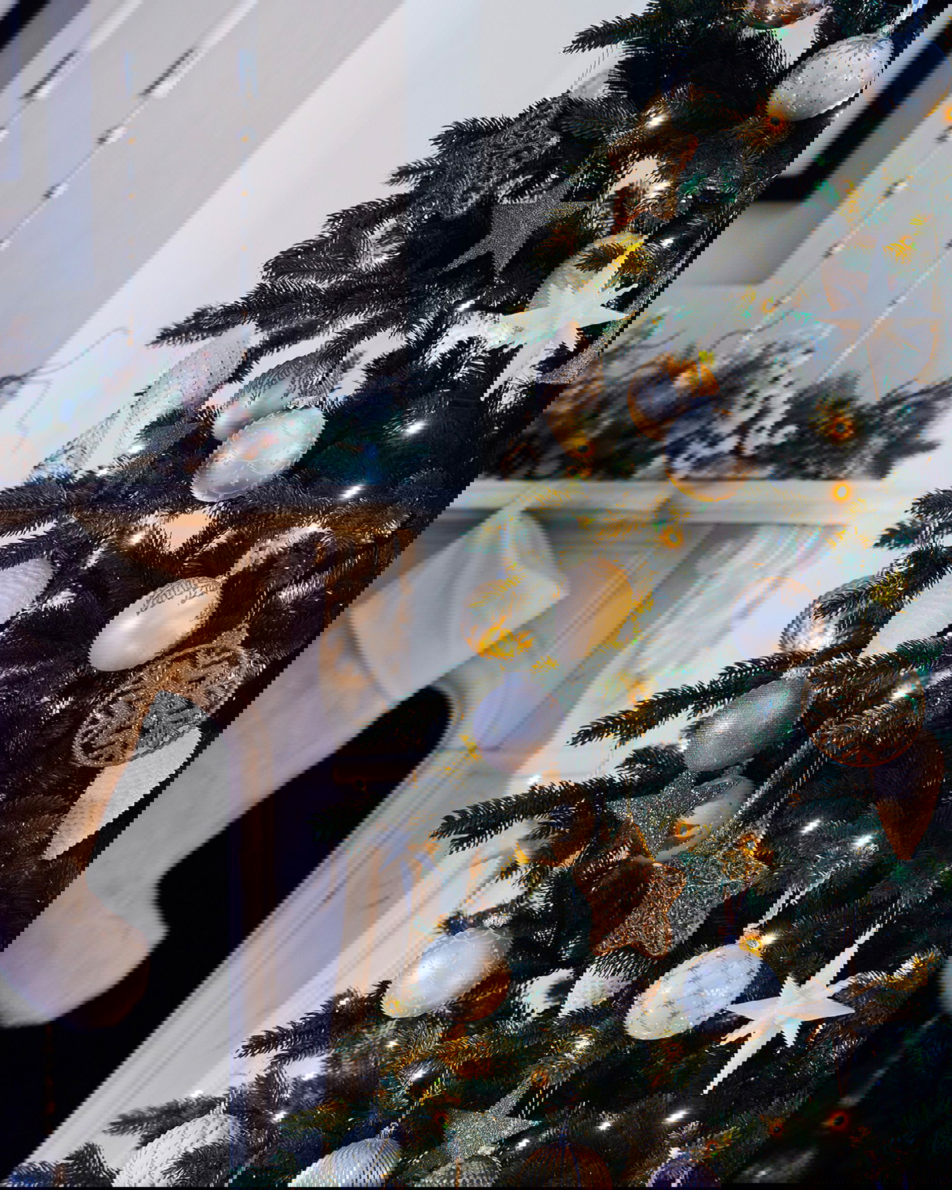 Newport Christmas Tree 230cm