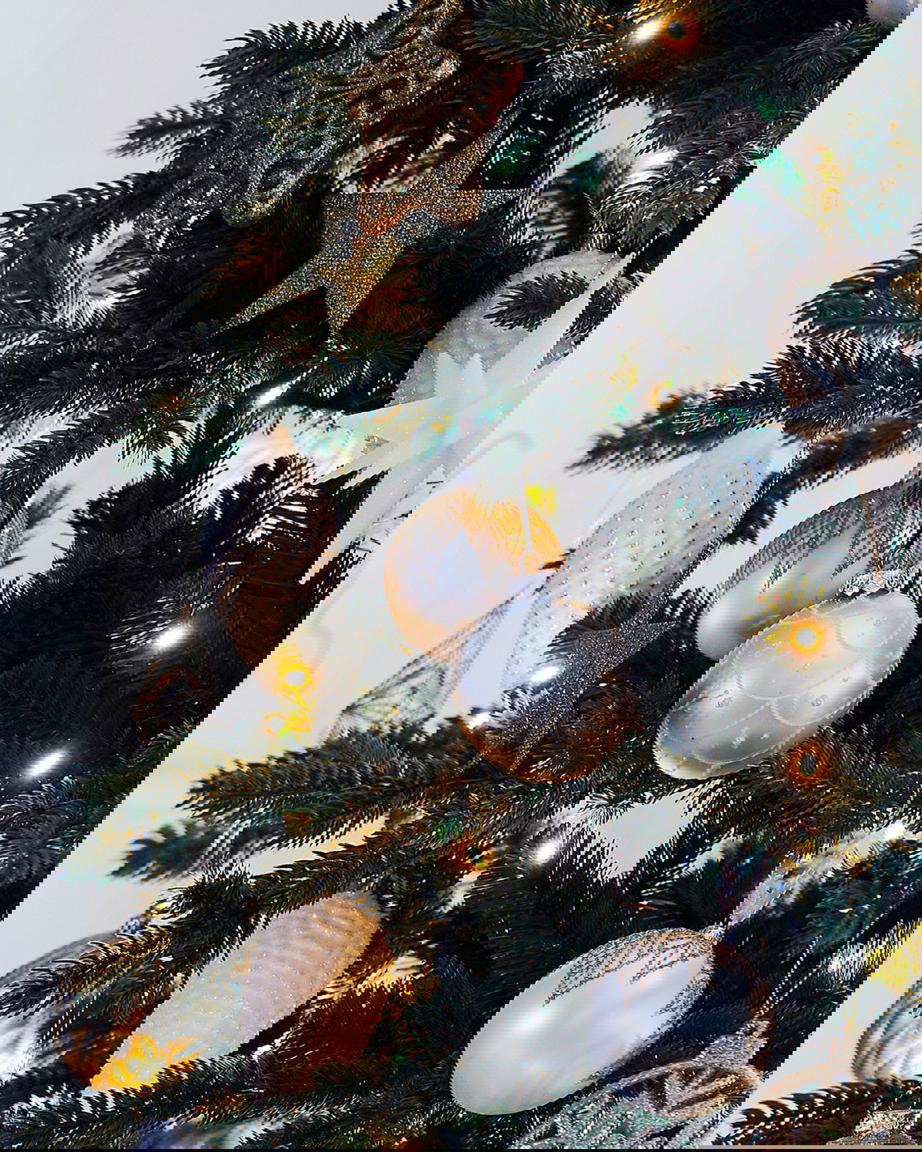 Newport Christmas Tree 185cm - Newport