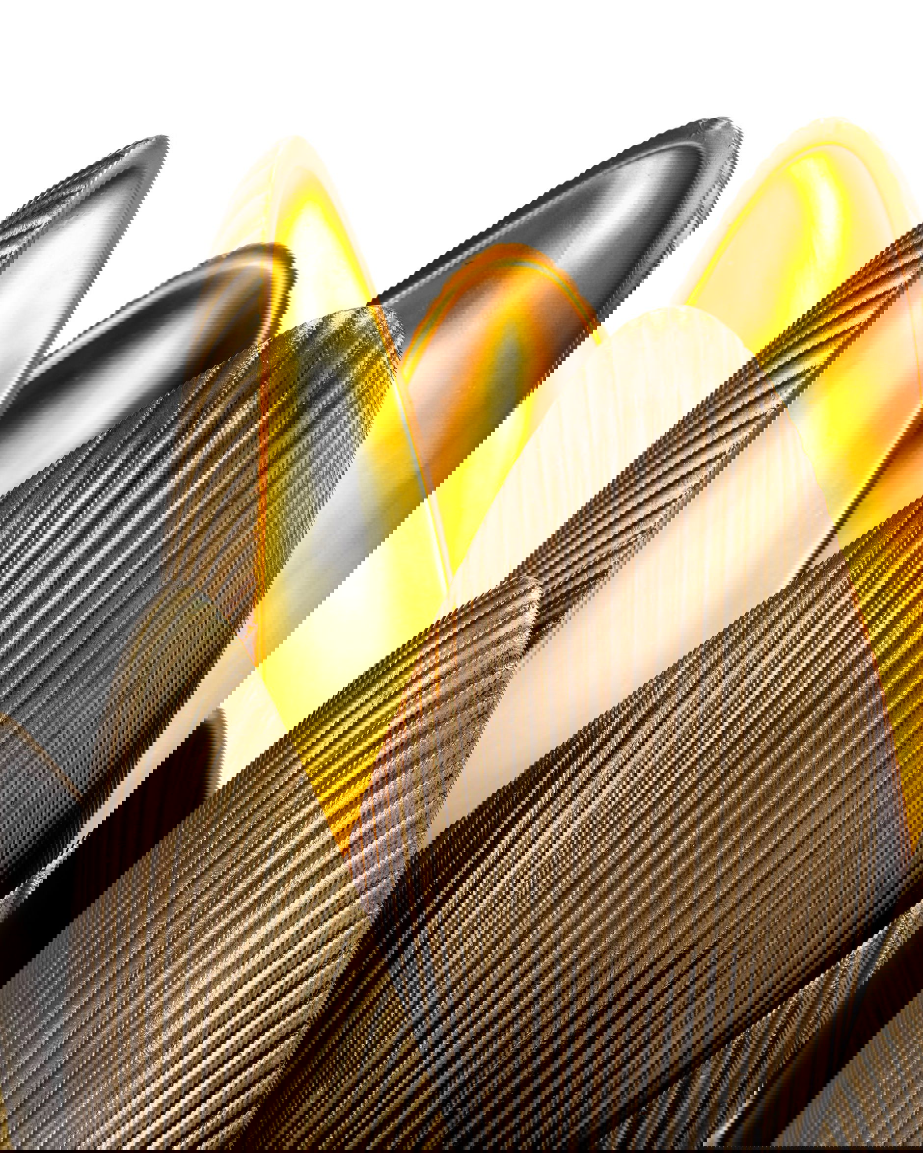 Blossom bordslampa mässing