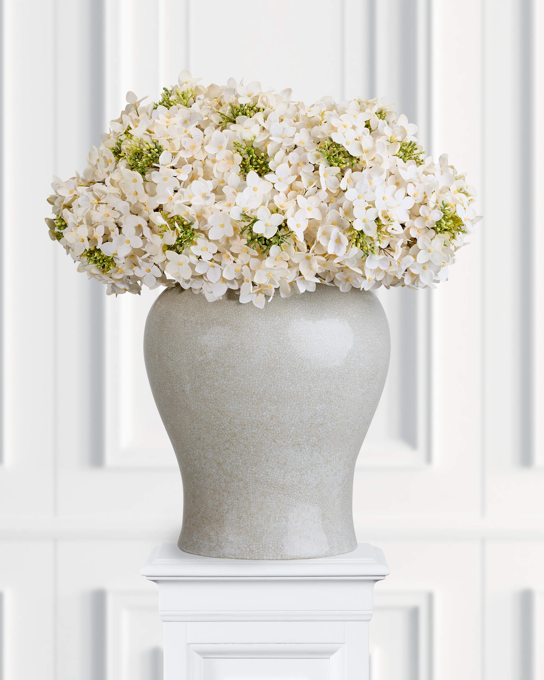 Hortensia snittblomma cream