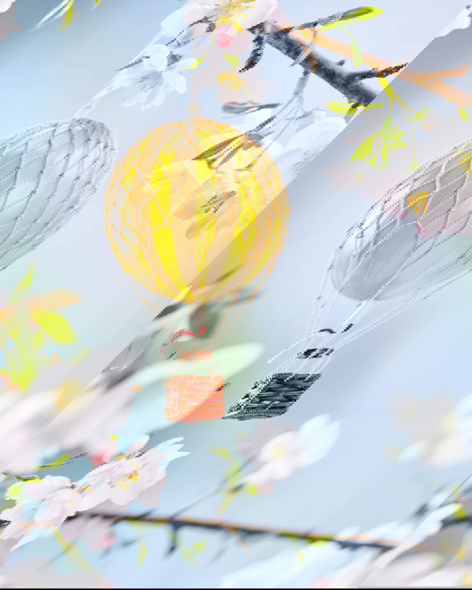 Floating The Skies, True Yellow