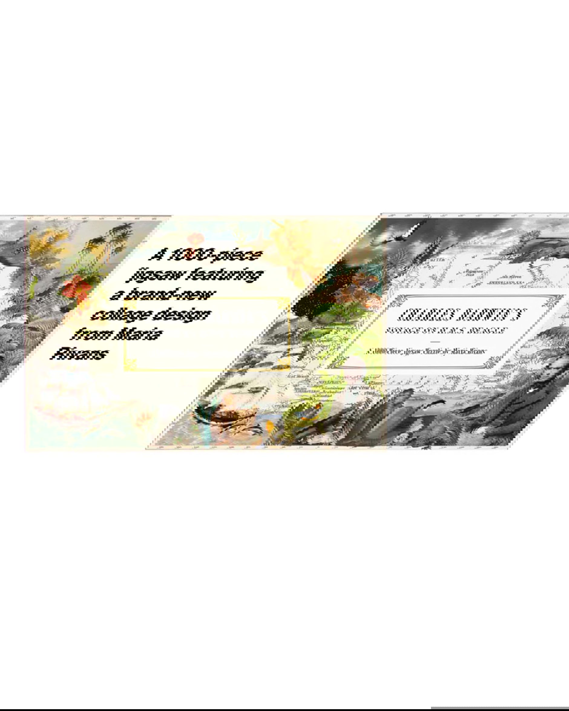 Charles Darwin pussel