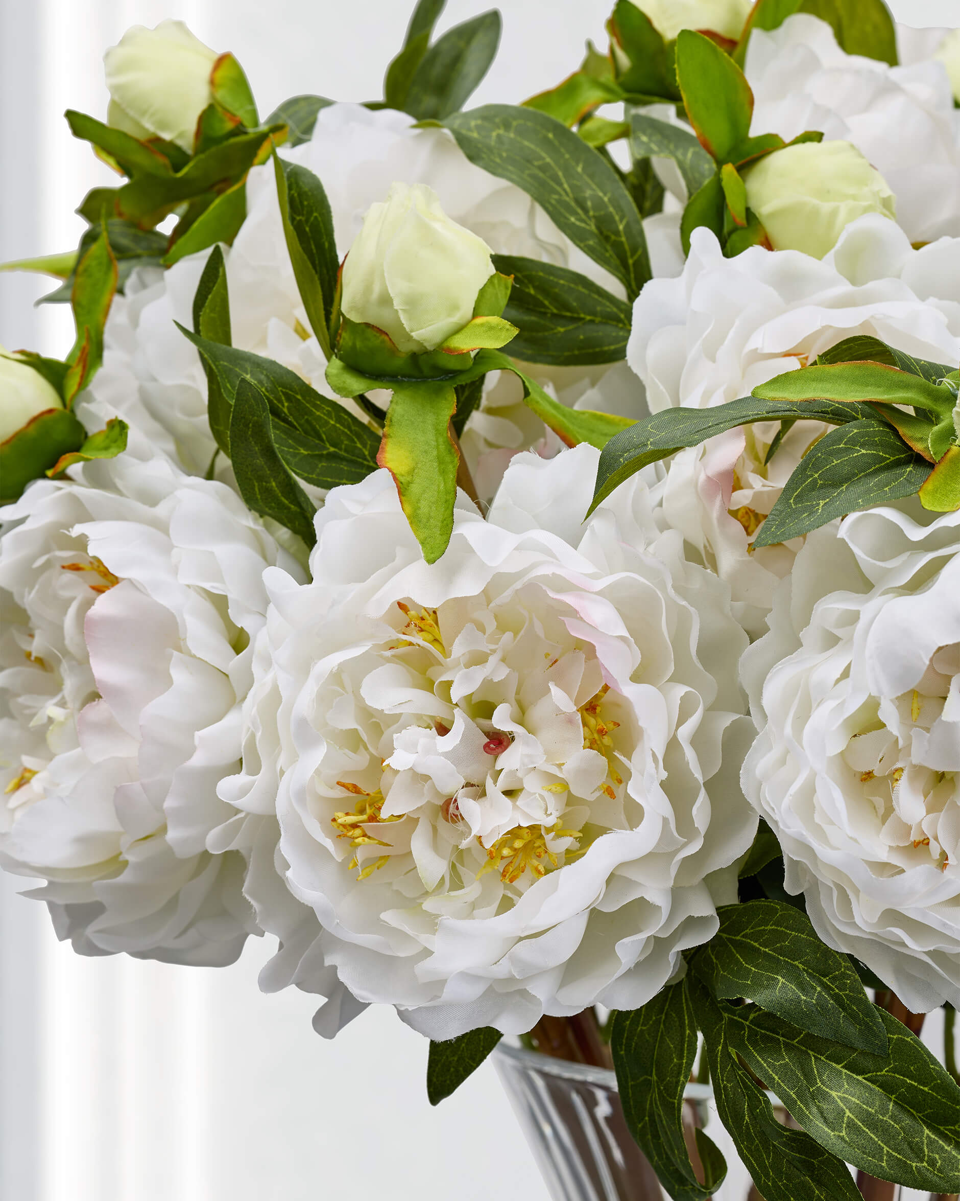 Peony Cut Flower White