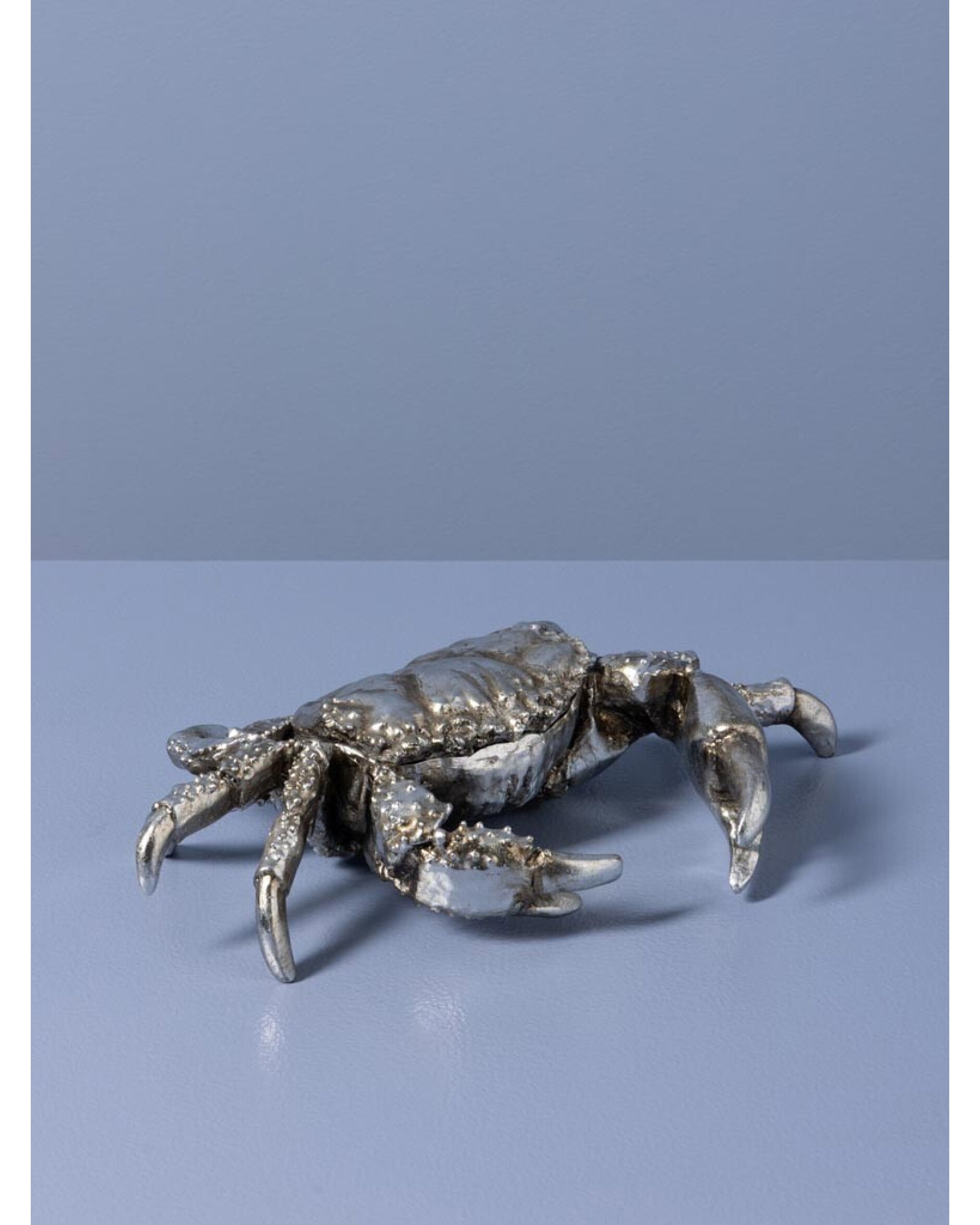 Harlow crab storage box in silver