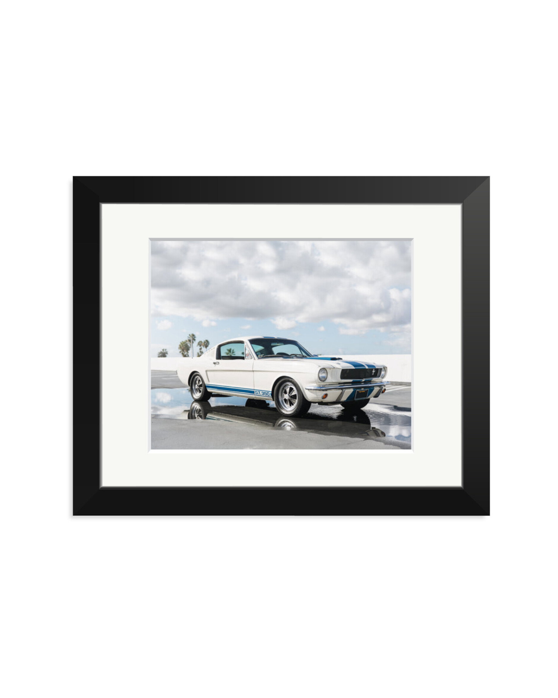 Ford Mustang Shelby GT350 Black / Small