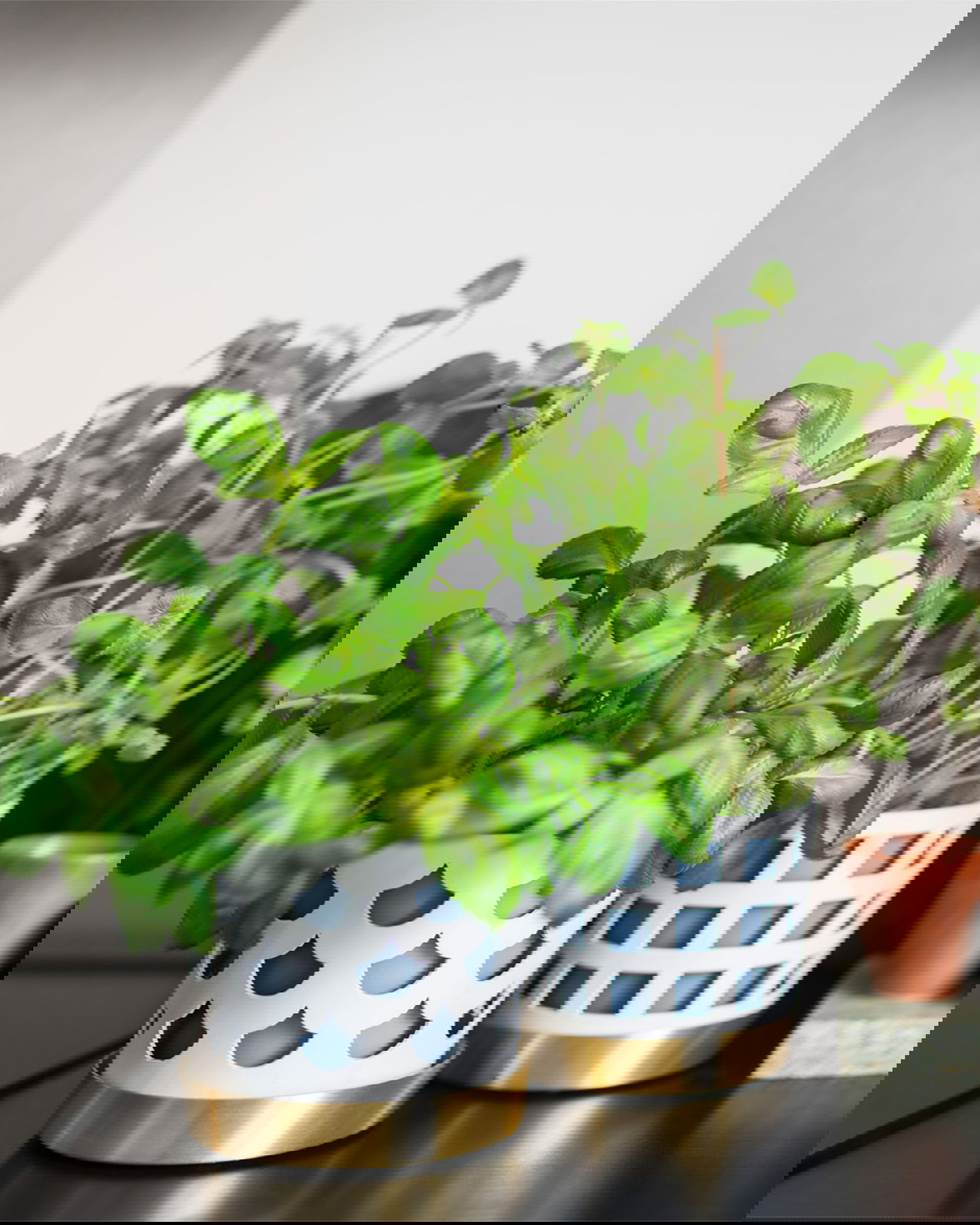 Trio flower pot checkered white