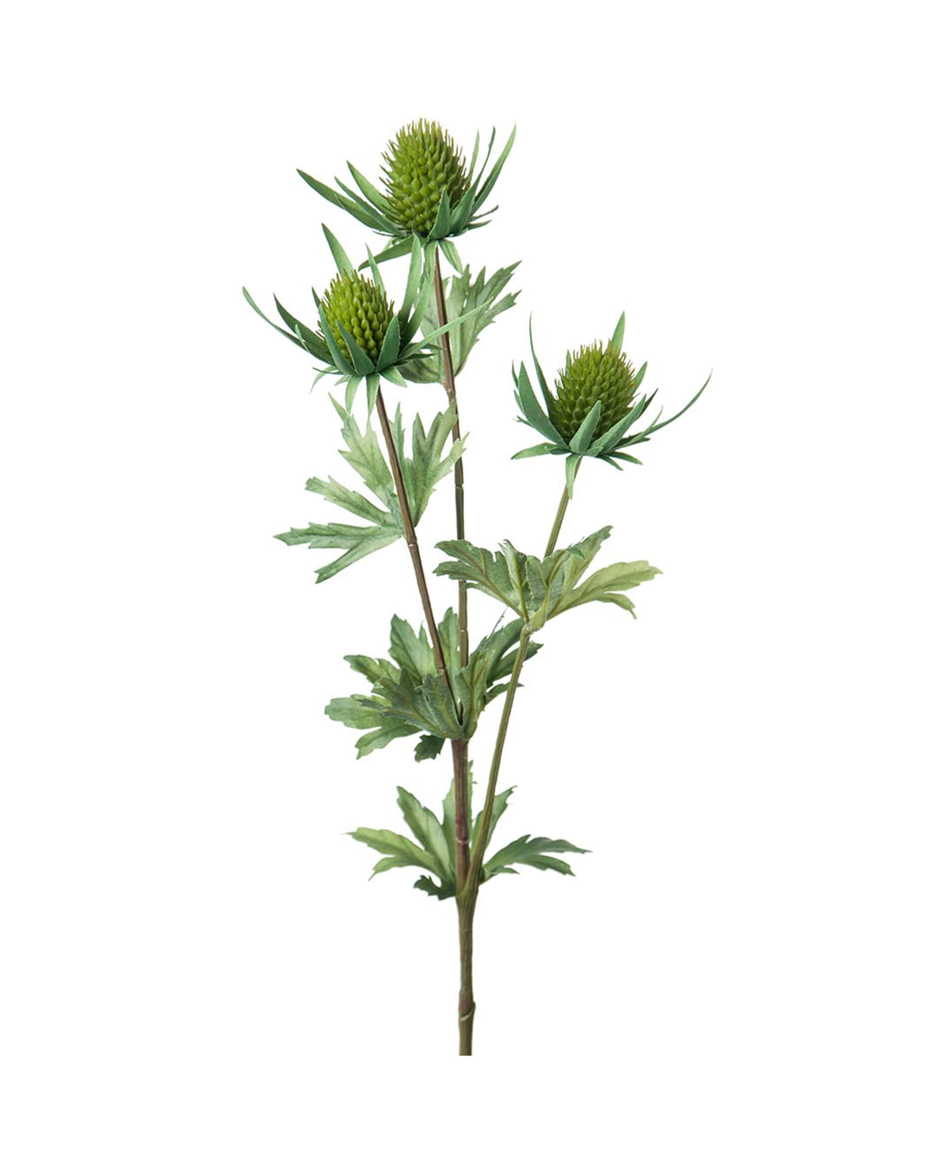 Green flower  f16fb99e13584779844a0aa3375a6a