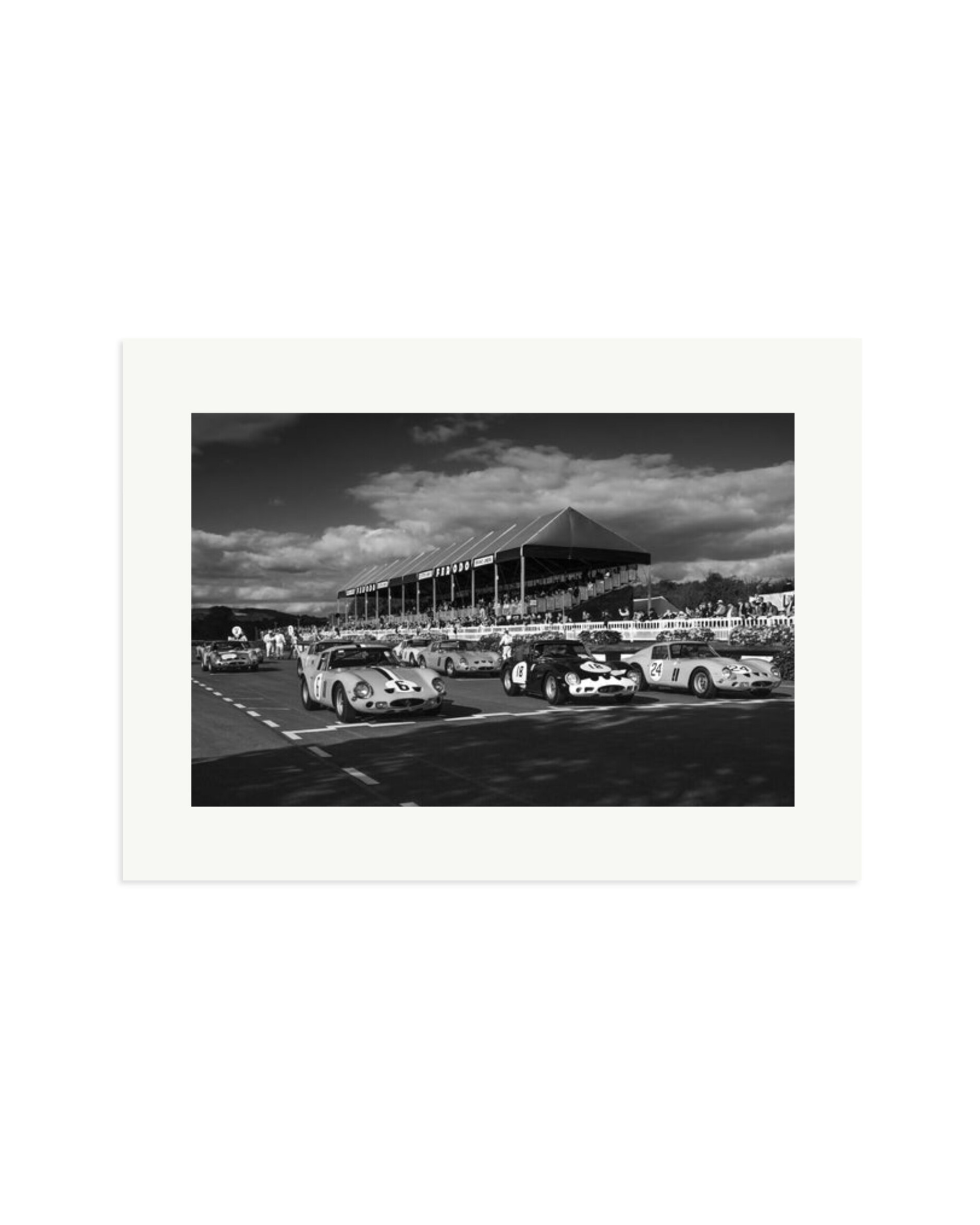 Ferarri 250 GTO's Print Only / XL