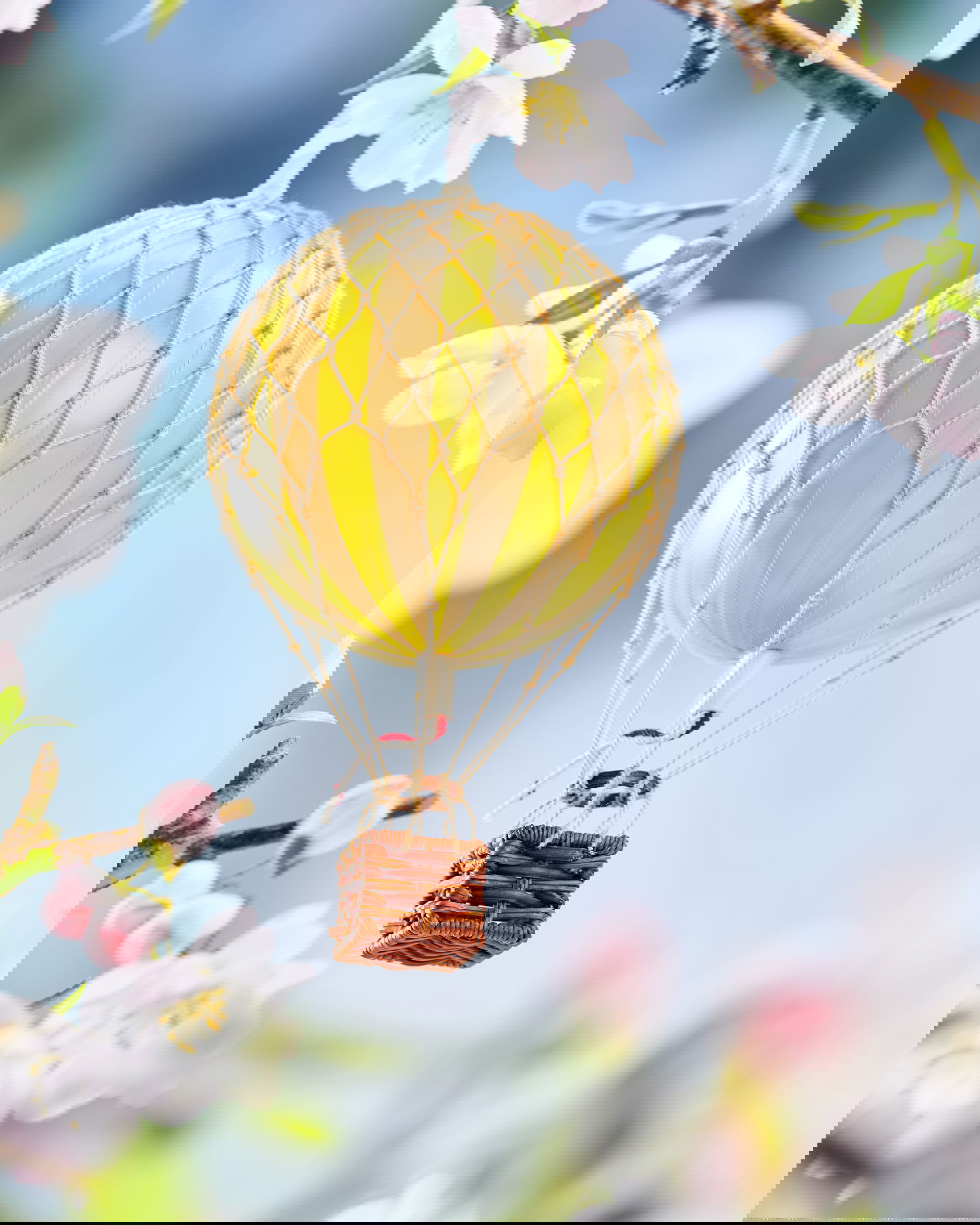 Floating The Skies, True Yellow