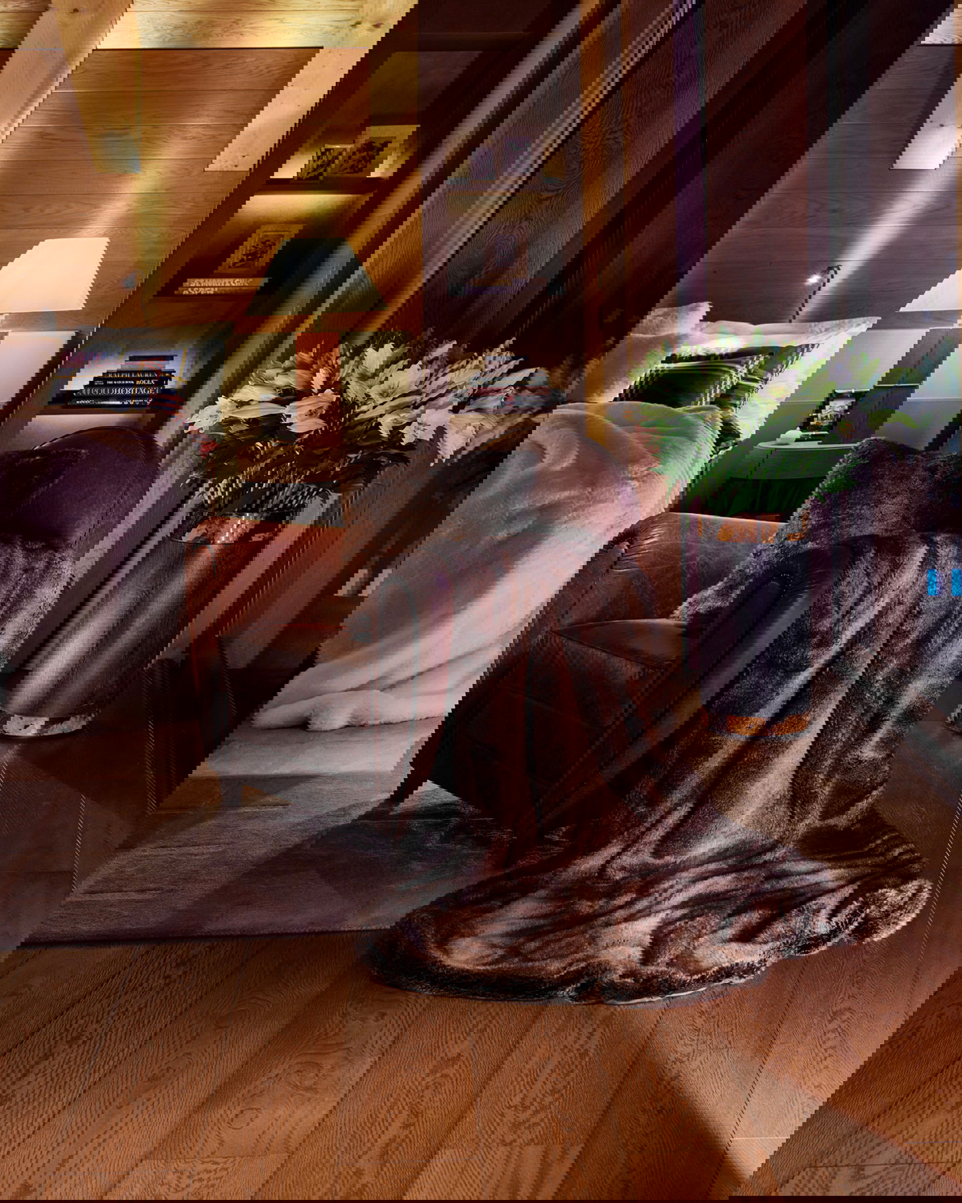 Whistler Throw Brown Bear