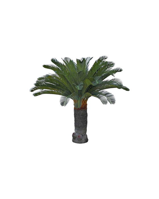 Cycas palm konstträd grön
