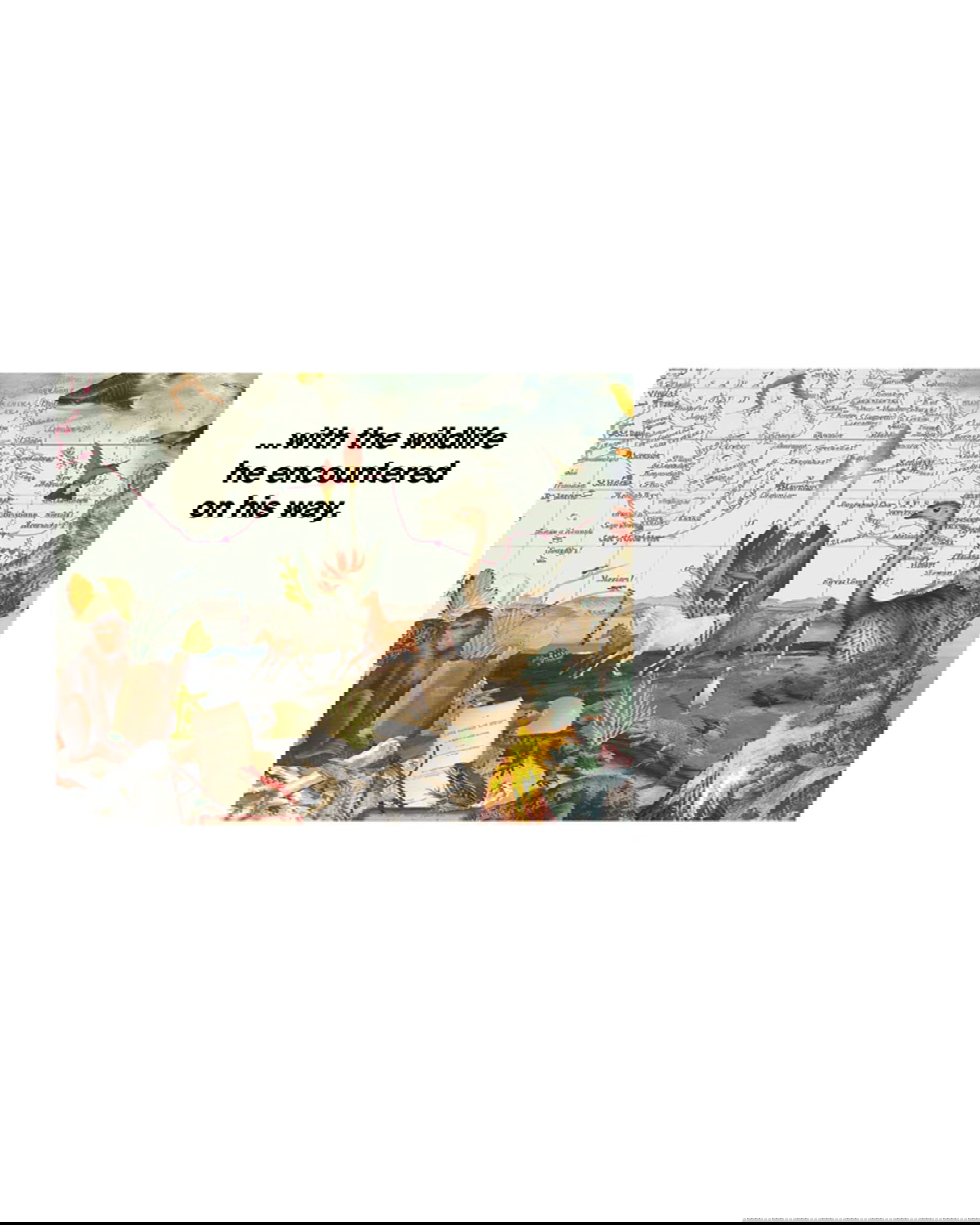 Charles Darwin pussel