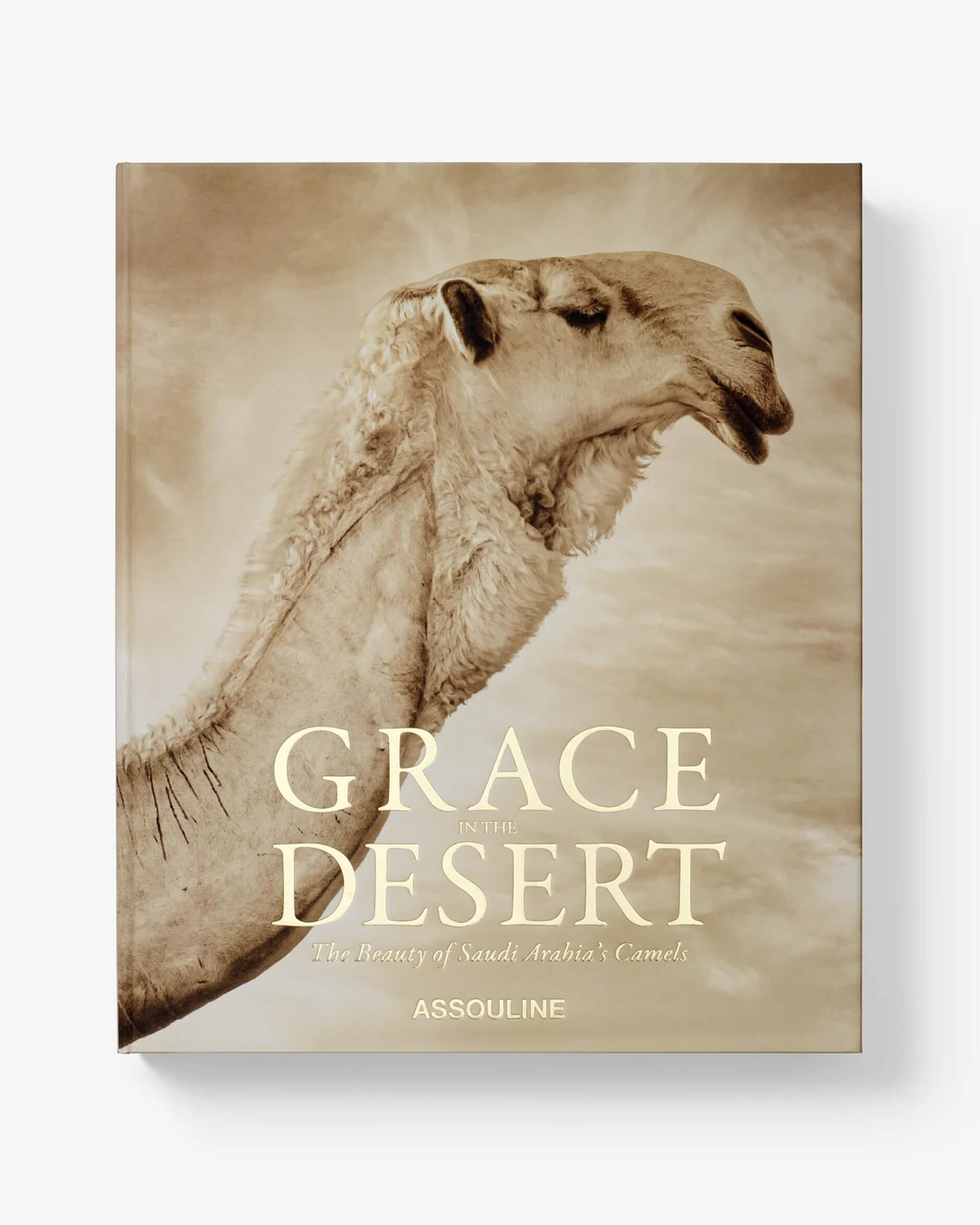 Grace in The Desert: The Beauty of Saudi Arabia's Camels