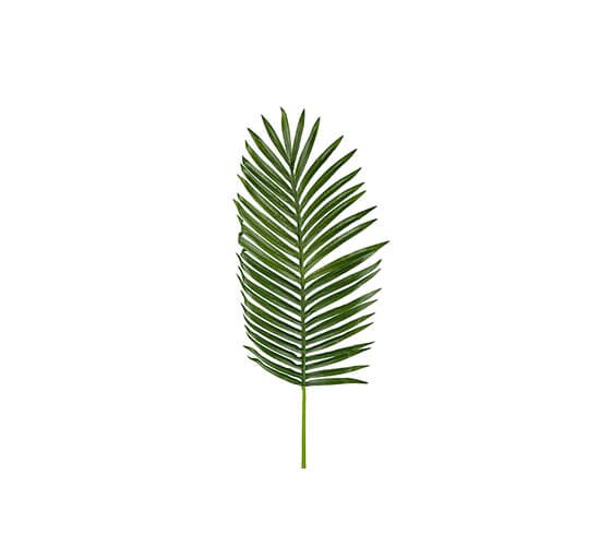 Image of Palmblad konstväxt grön