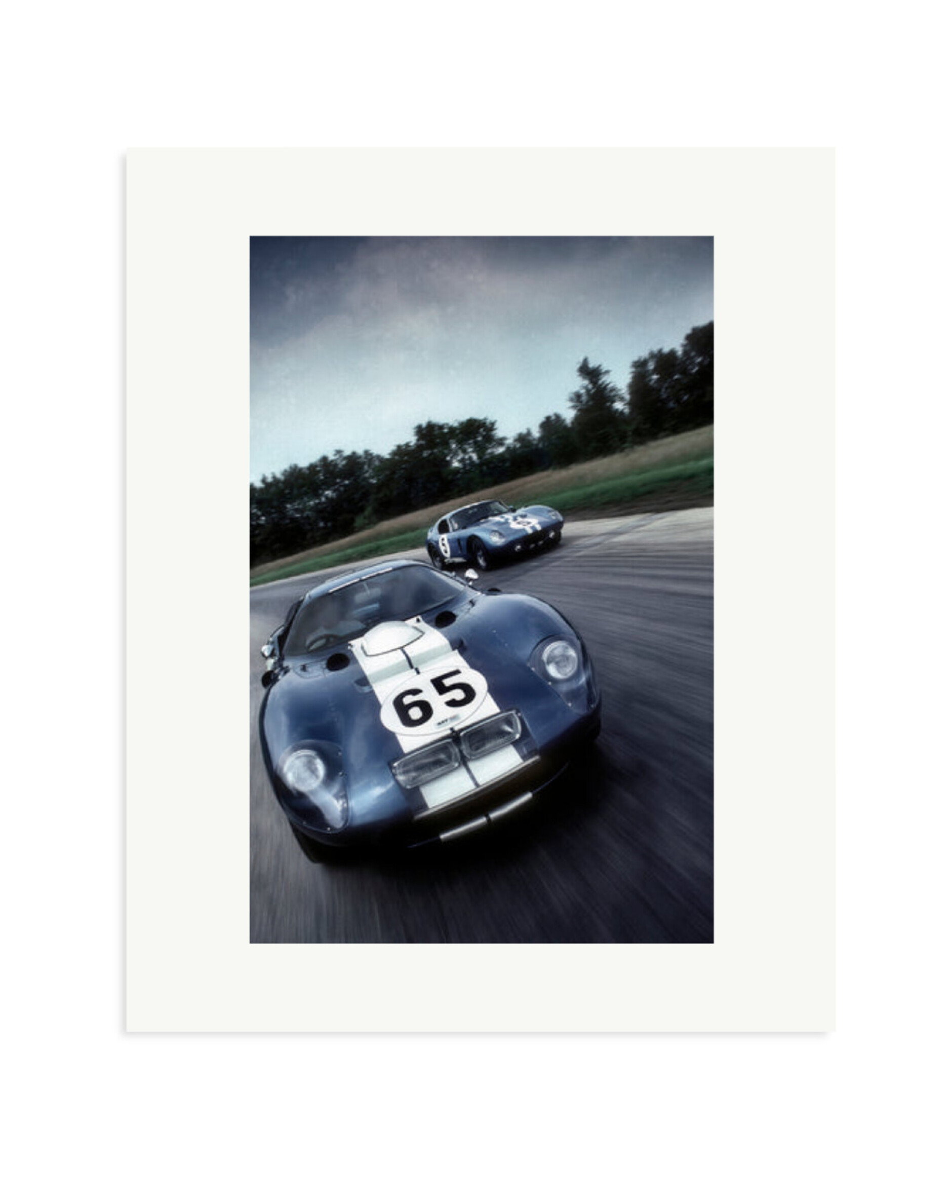 Ford Cobra Print Only / Medium