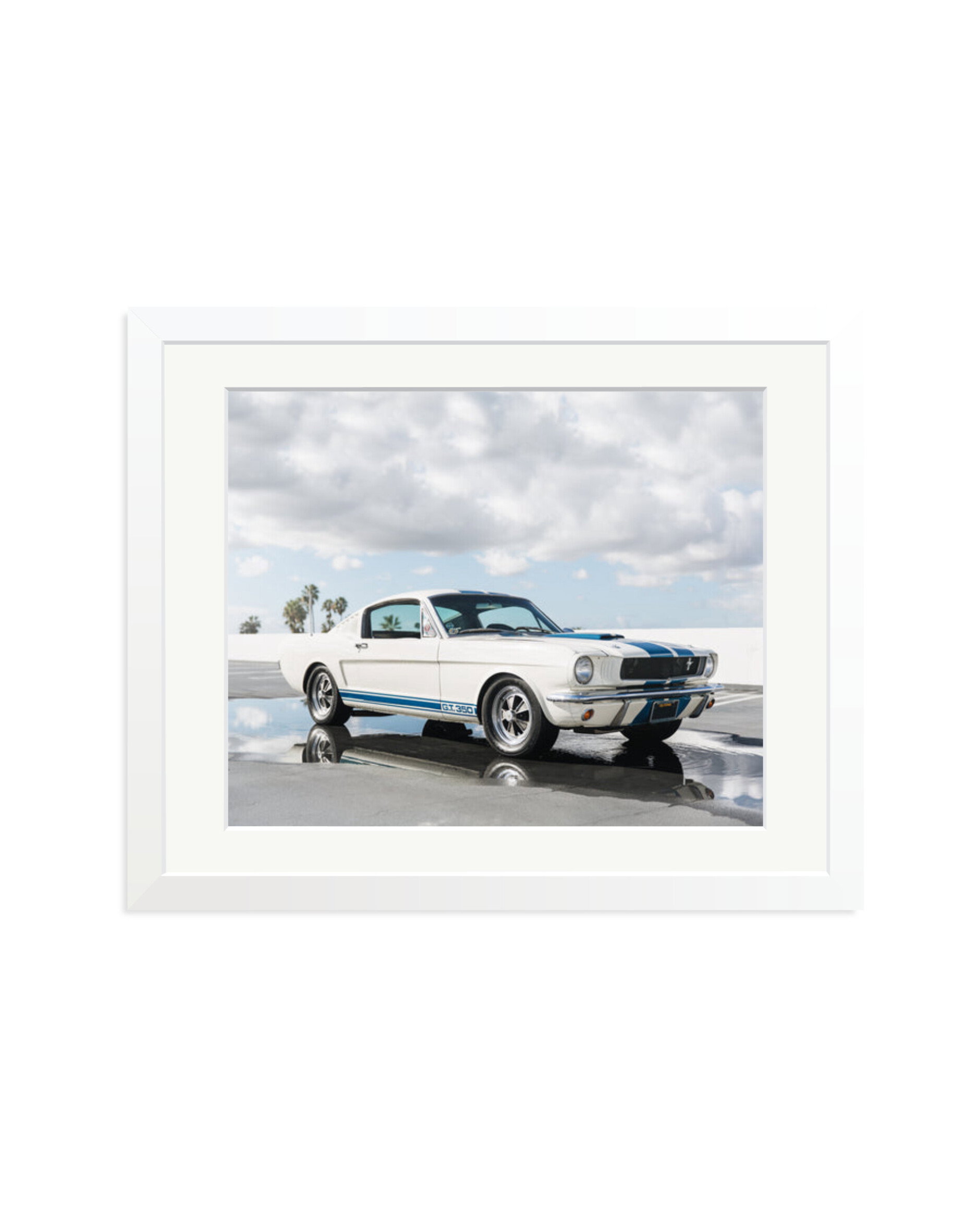 Ford Mustang Shelby GT350 White / Medium