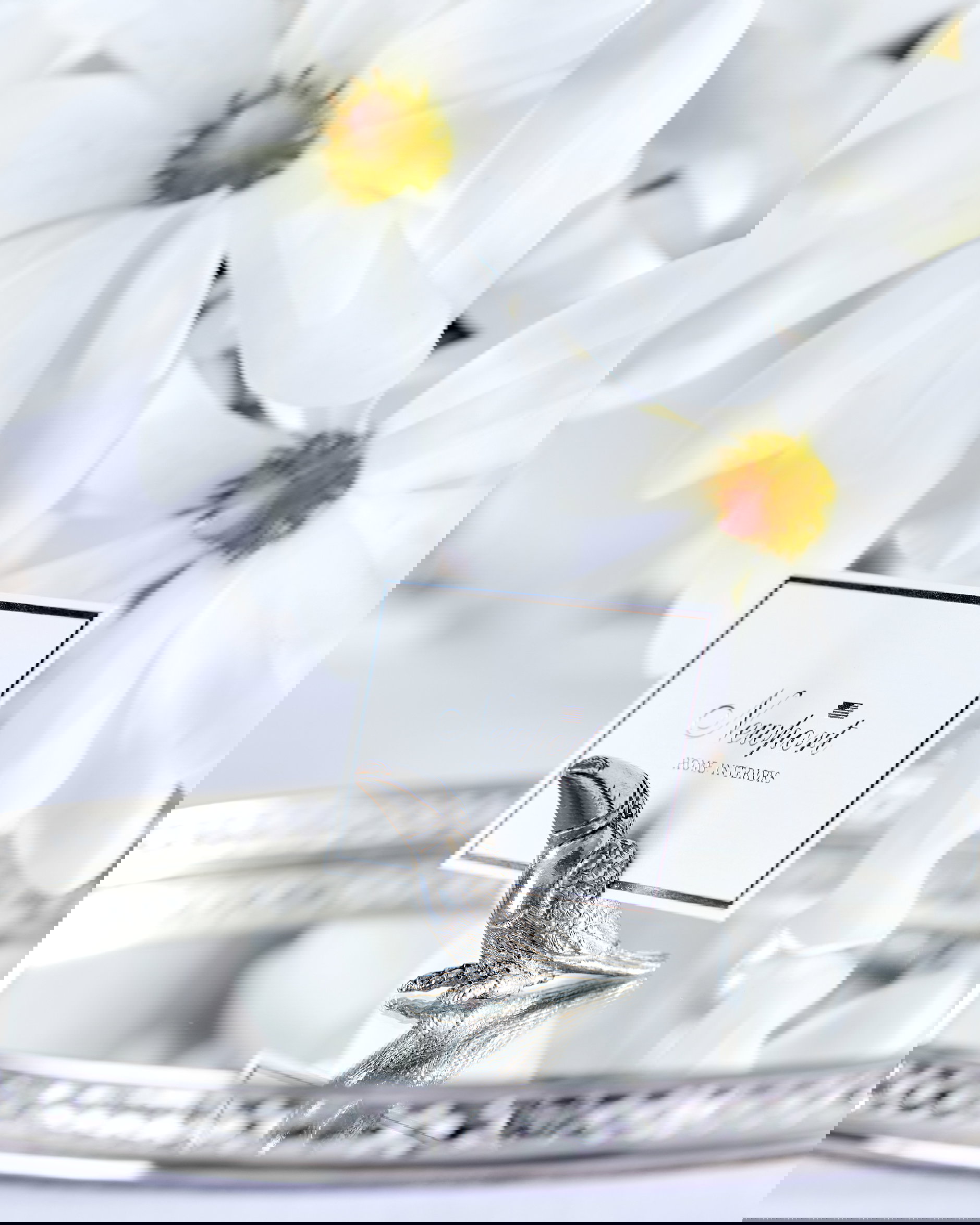 Bordkortholder tocotucan tinn