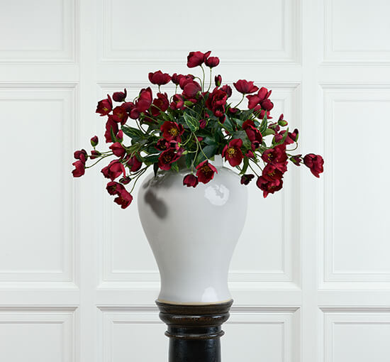 Christmas Rose Cut Flower Red