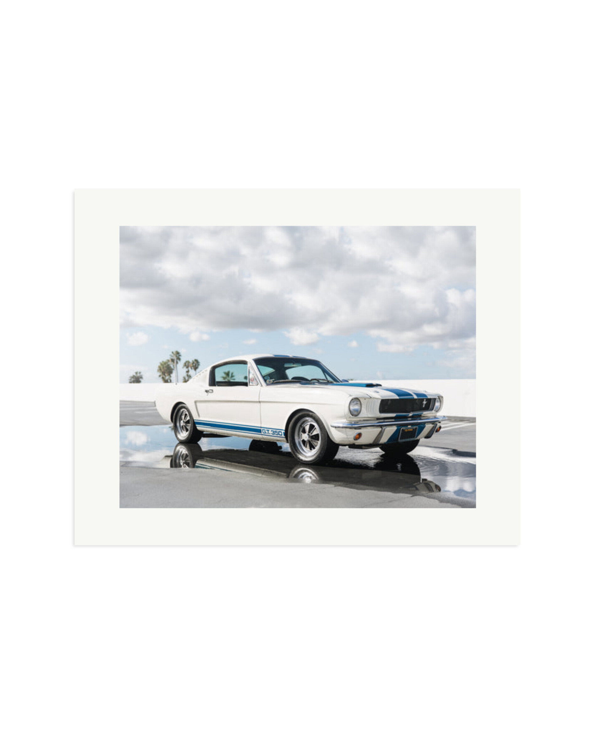 Ford Mustang Shelby GT350 Print Only / XL