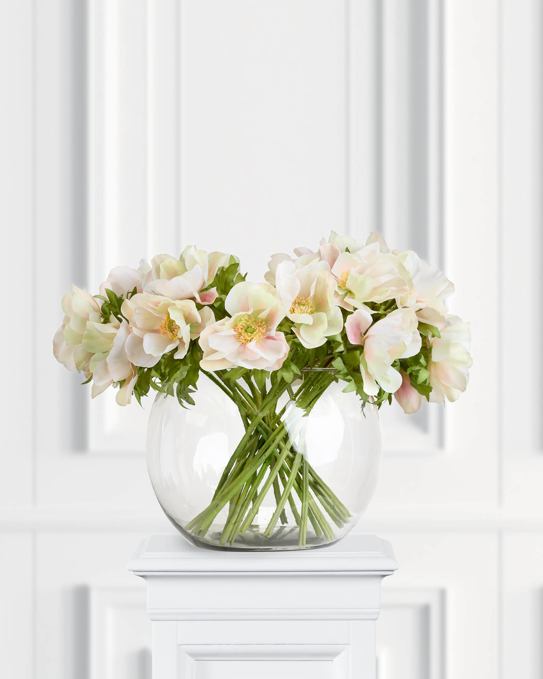 Anemon snittblomma cream