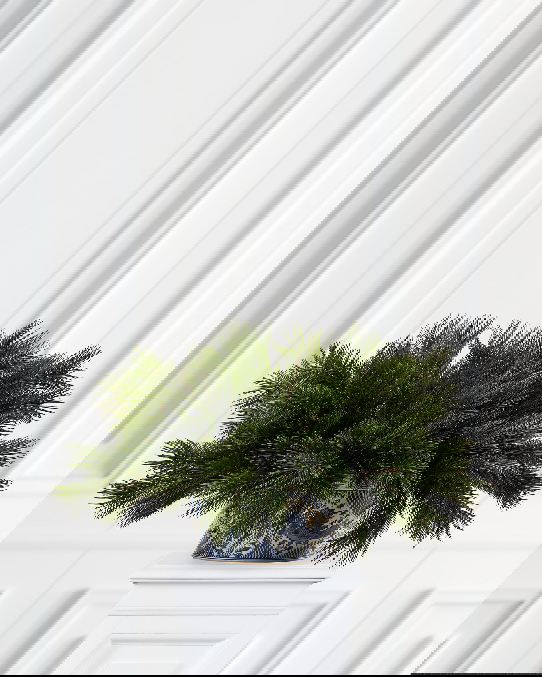 Mäntypuun oksa leikkokukka vihreä