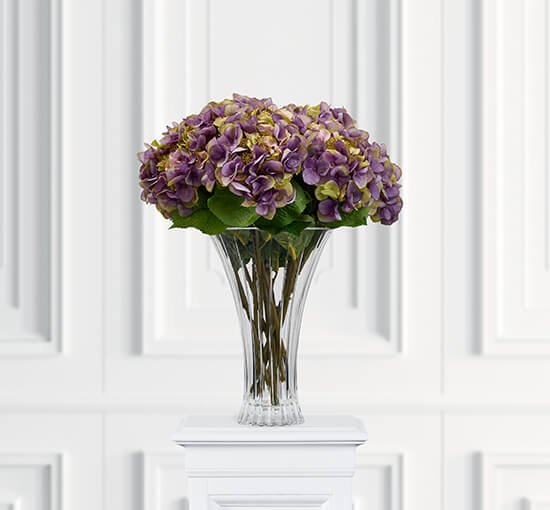 Purple - Hydrangea Cut Flower White
