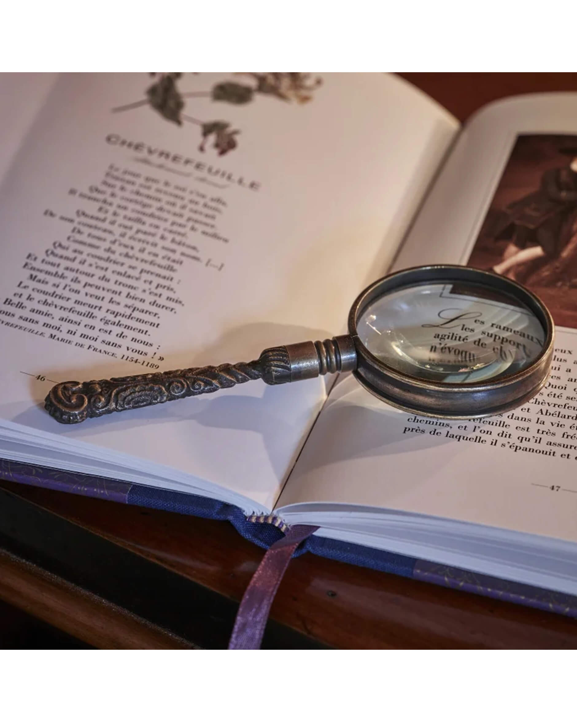 Rococo Magnifier, Bronze