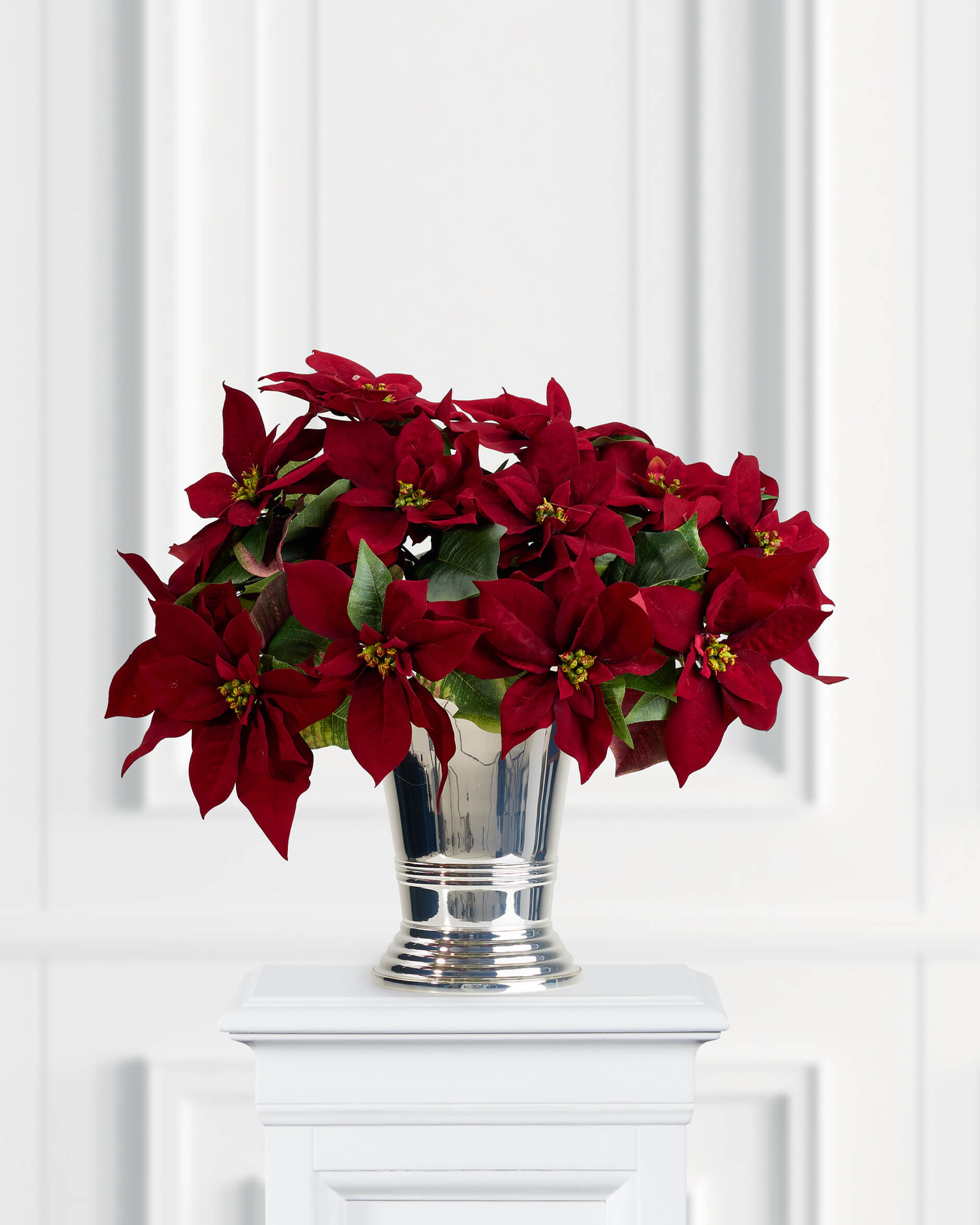 Julstjärna snittblomma burgundy