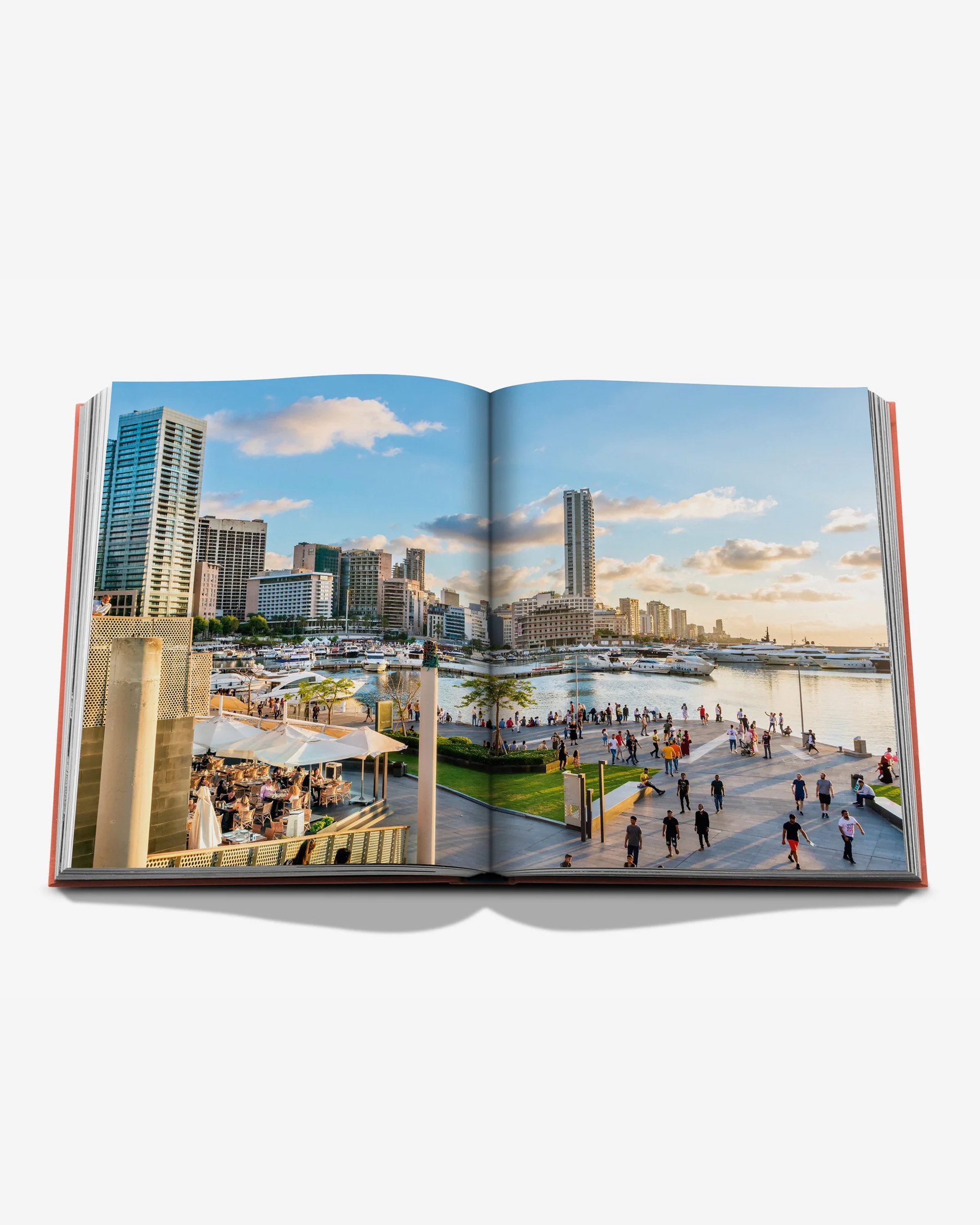 Travel Books Beirut Habibi
