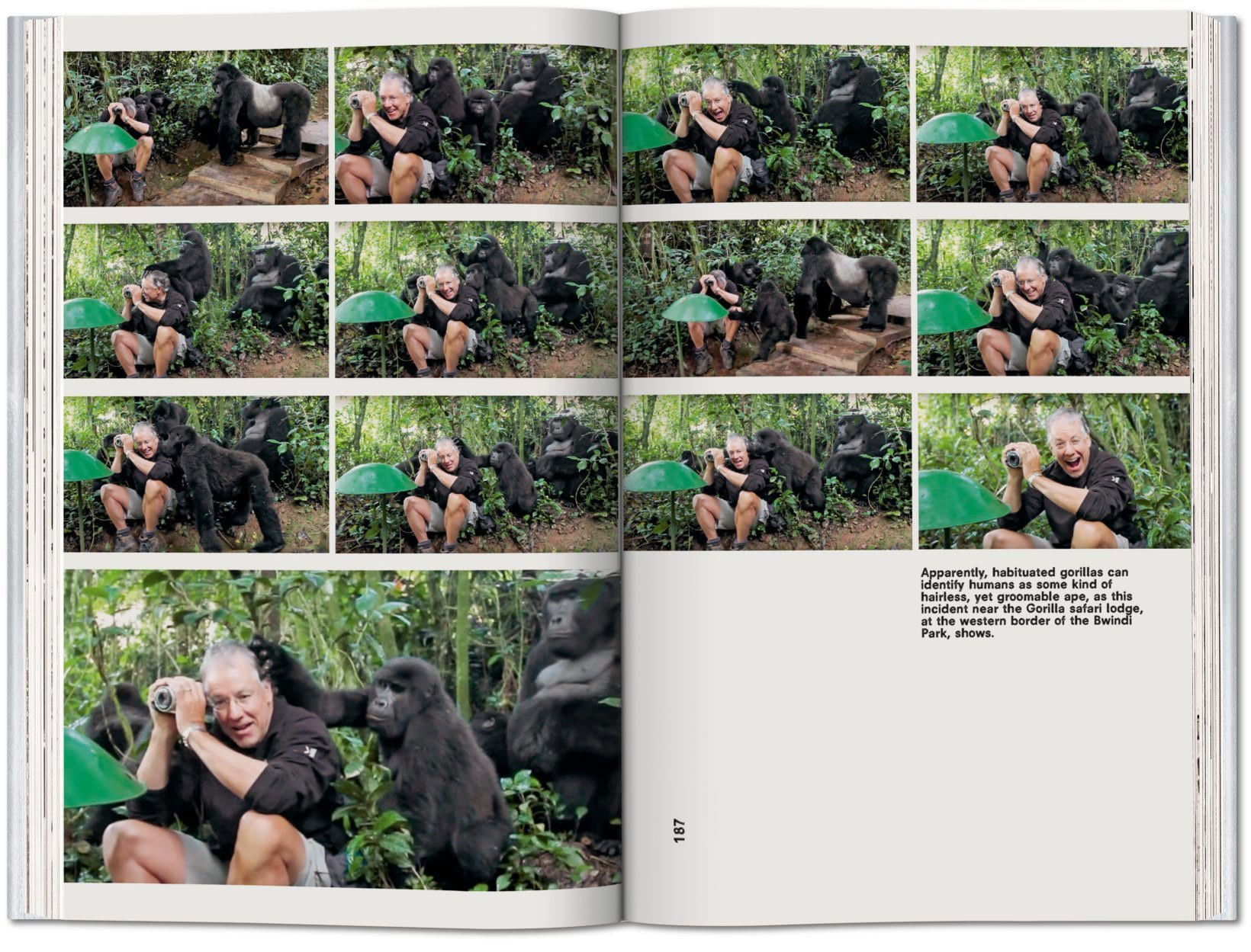 Koolhaas. Countryside, A Report