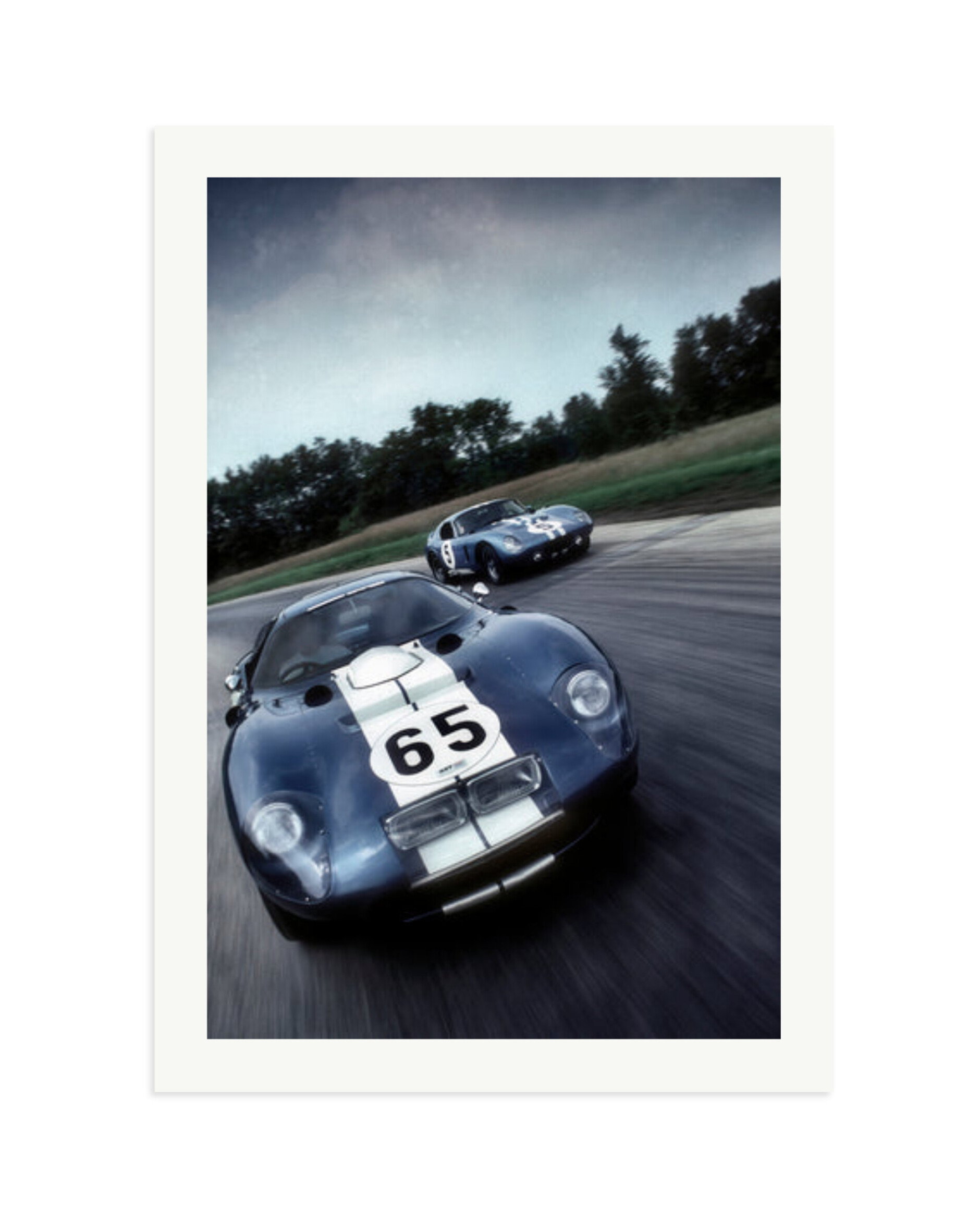 Ford Cobra Print Only / XXL