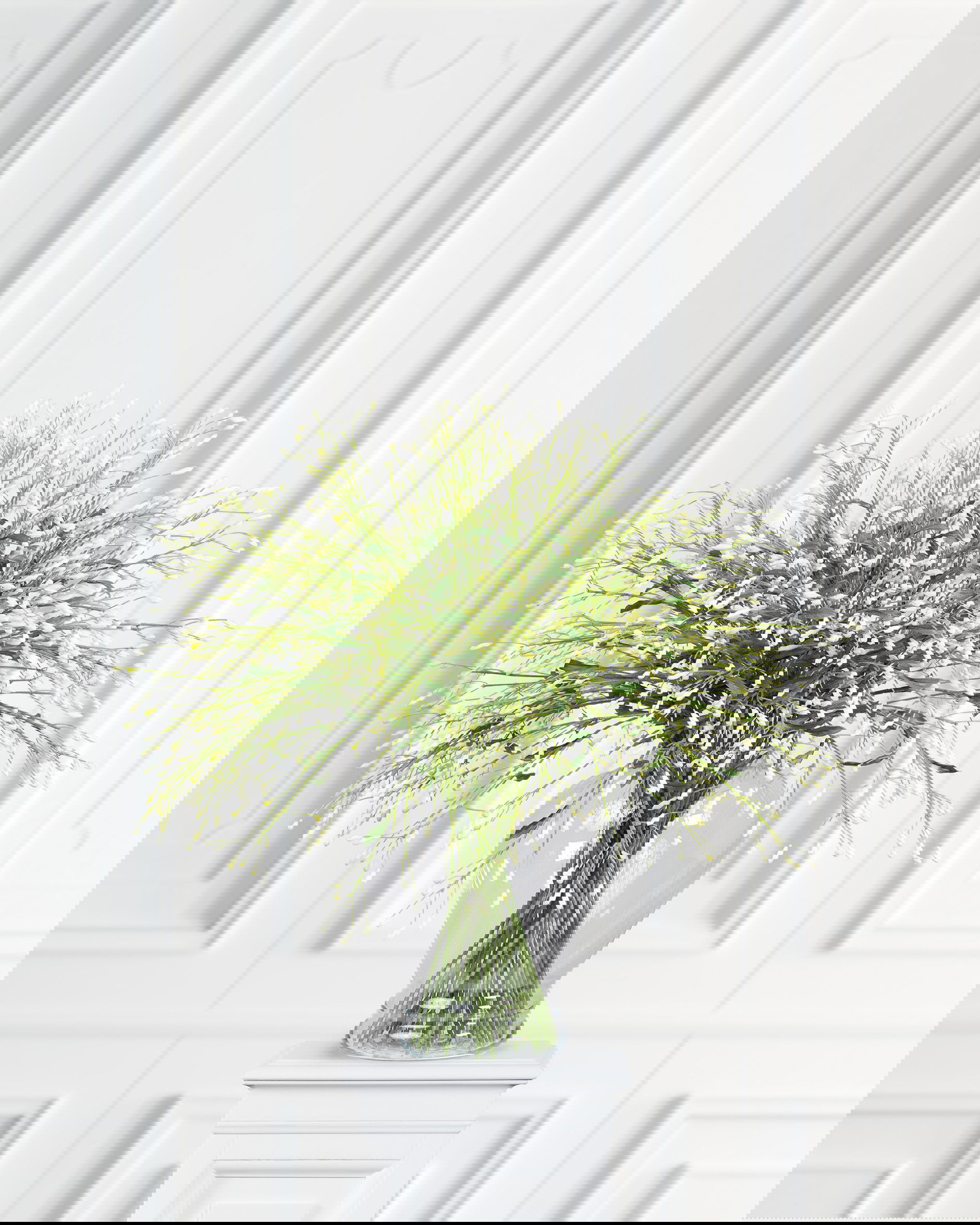 Berry Branch Cut Flower White