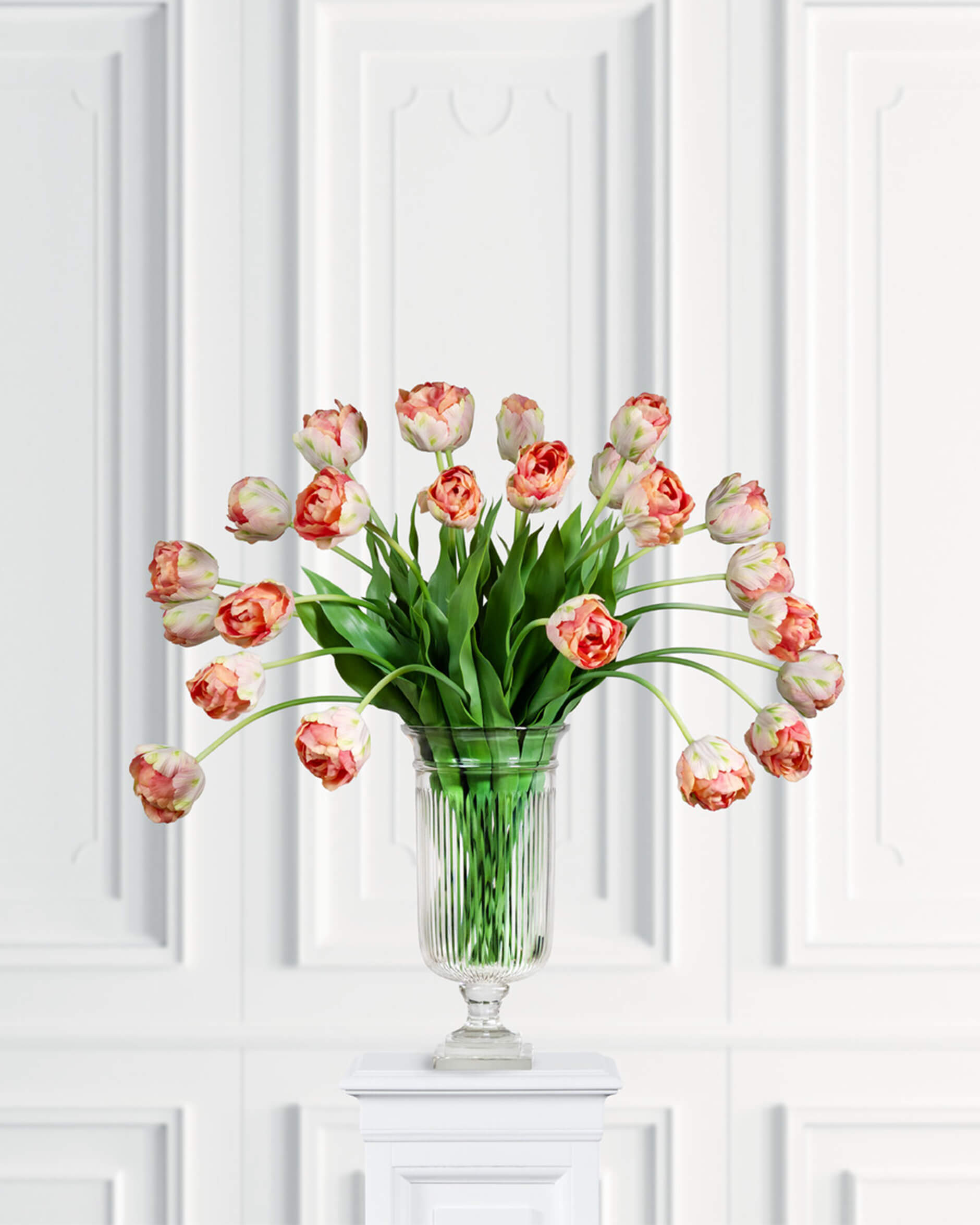 Tulpan snittblomma ljusrosa