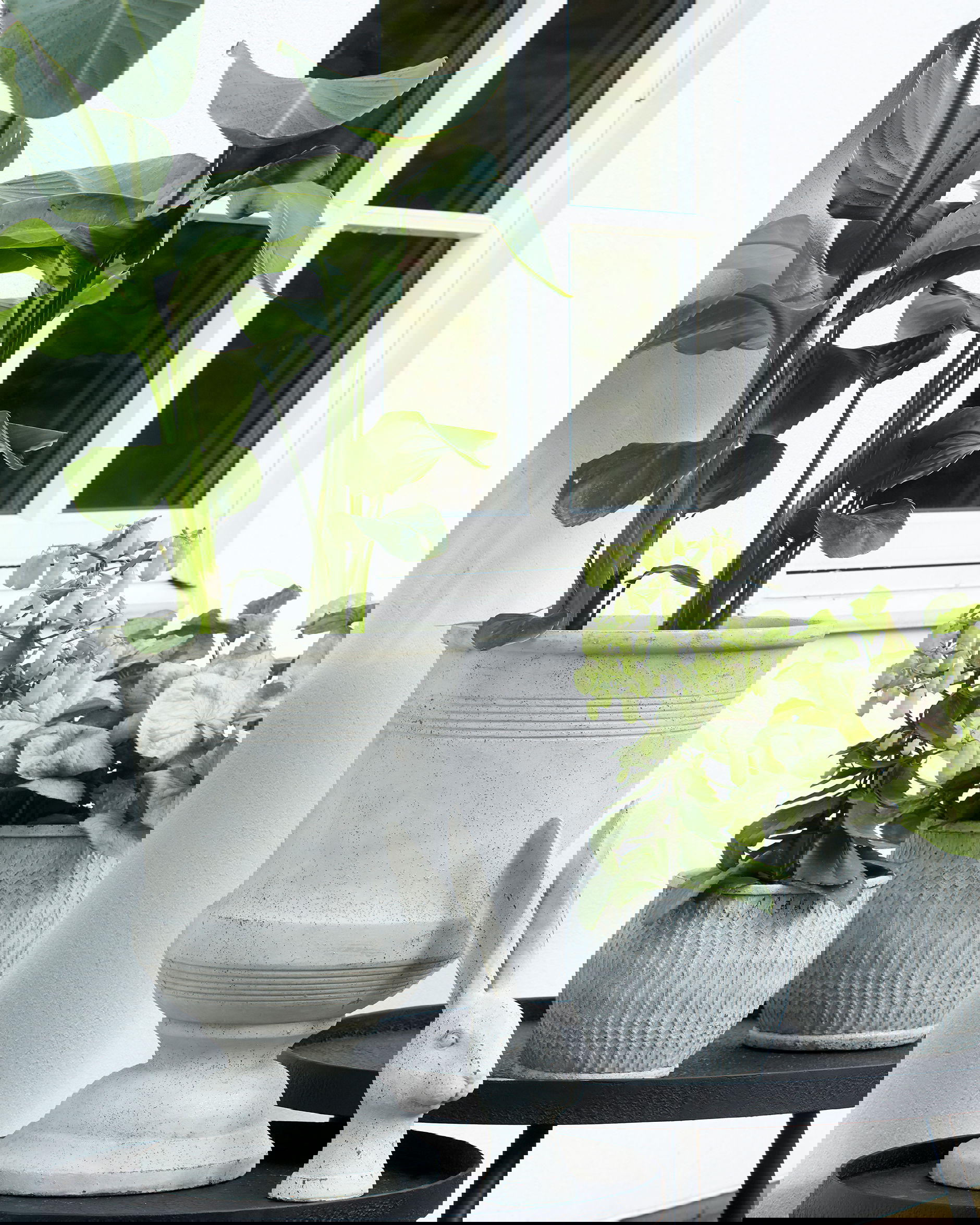 Verda flower pot white mottled