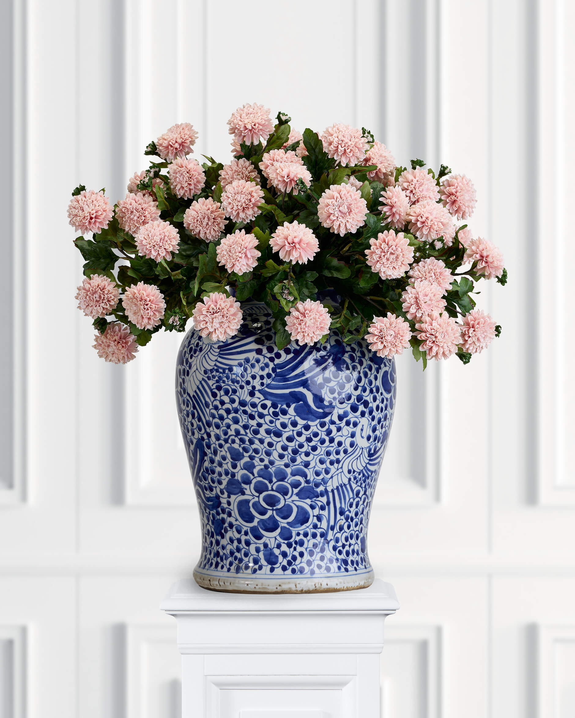 Chrysanthemum snittblomma ljusrosa