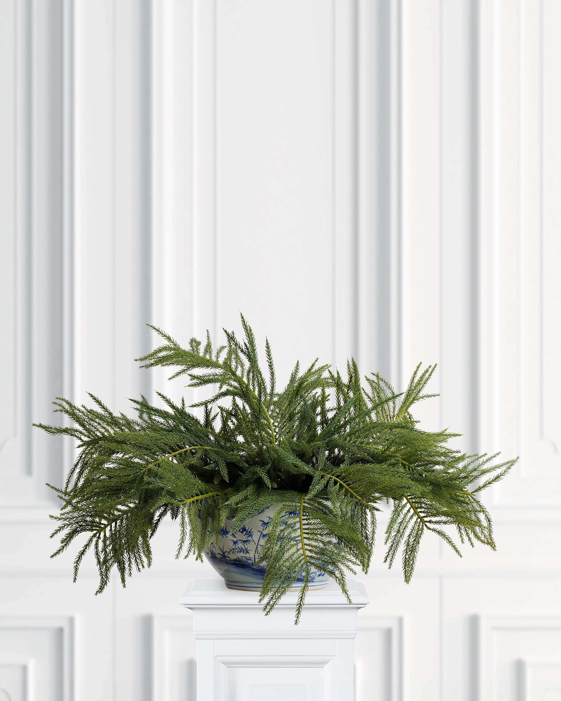 Fir Spruce Sprig Green