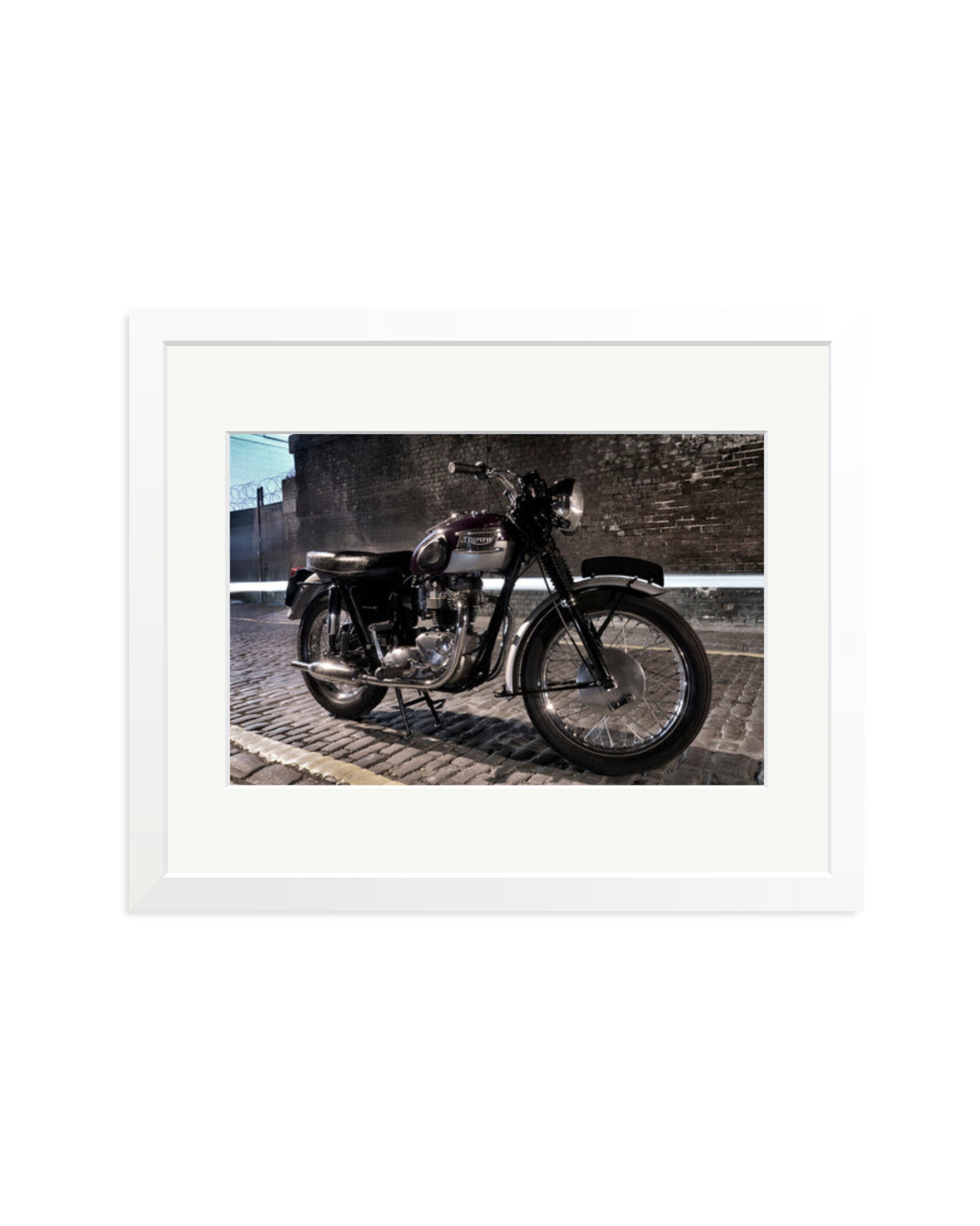 Triumph 1963 White / Medium