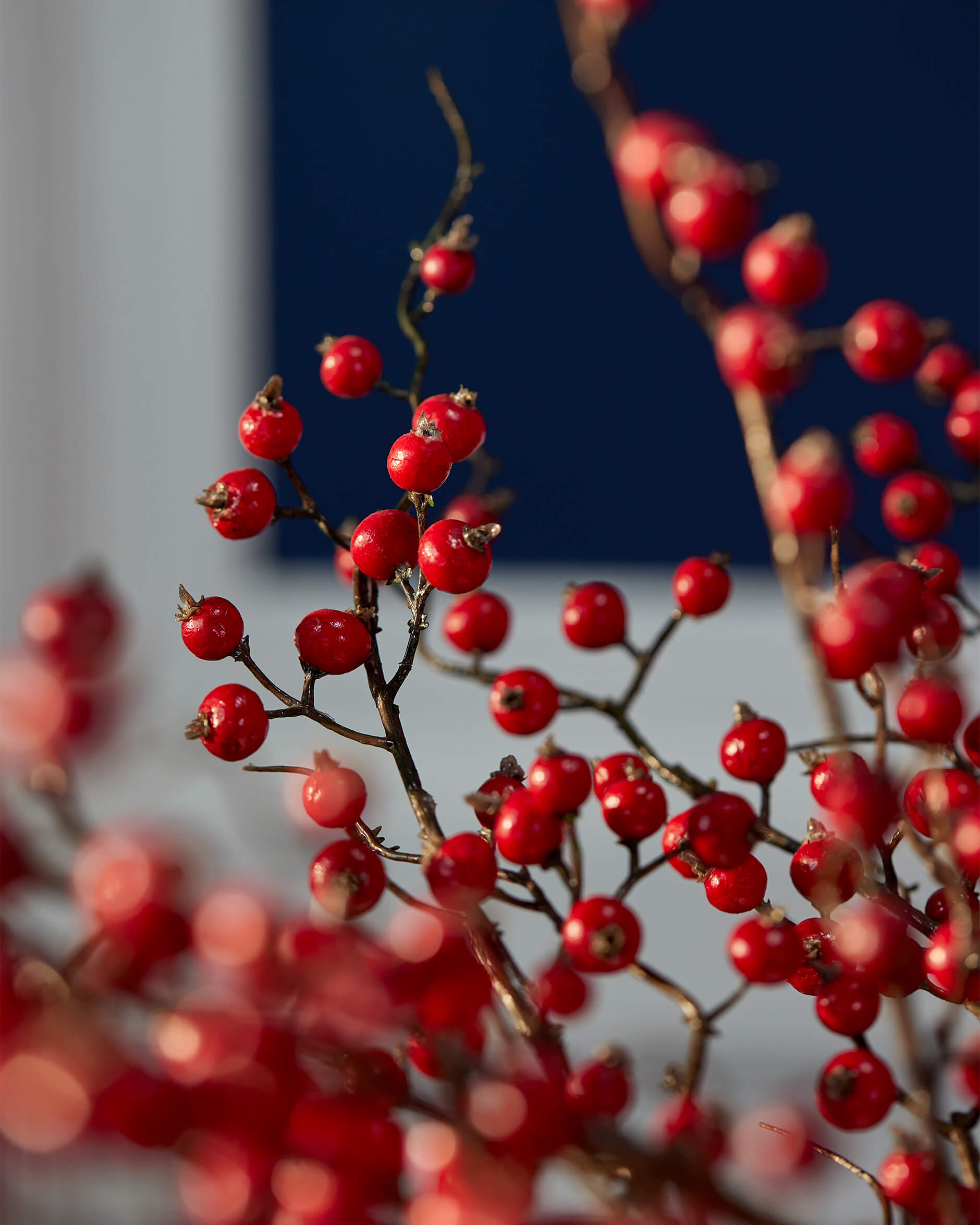 Ingrid bärkvist röd