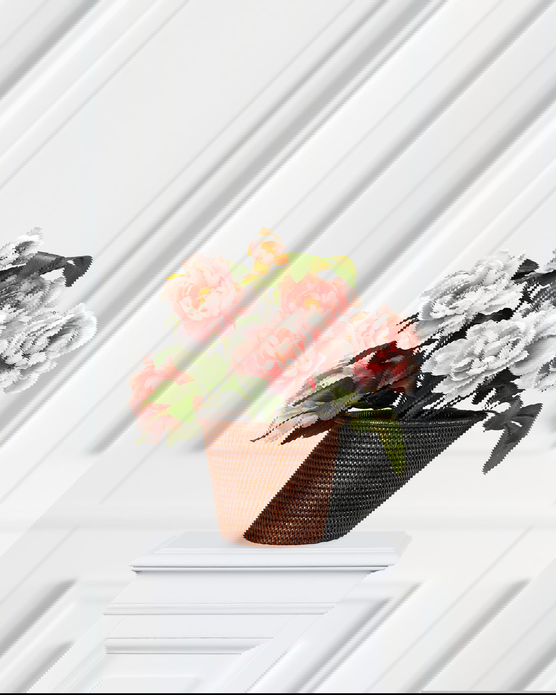 Pfingstrose Topfpflanze rosa