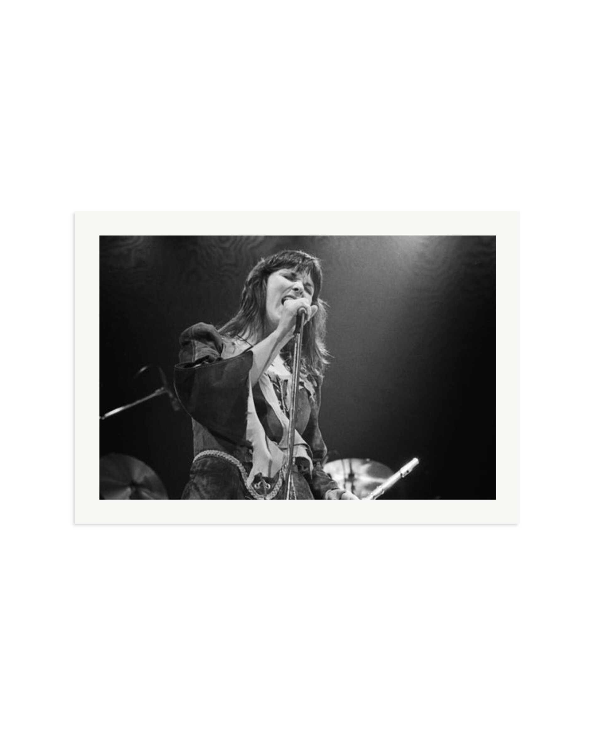 Ann Wilson 1977 Print Only / XXL