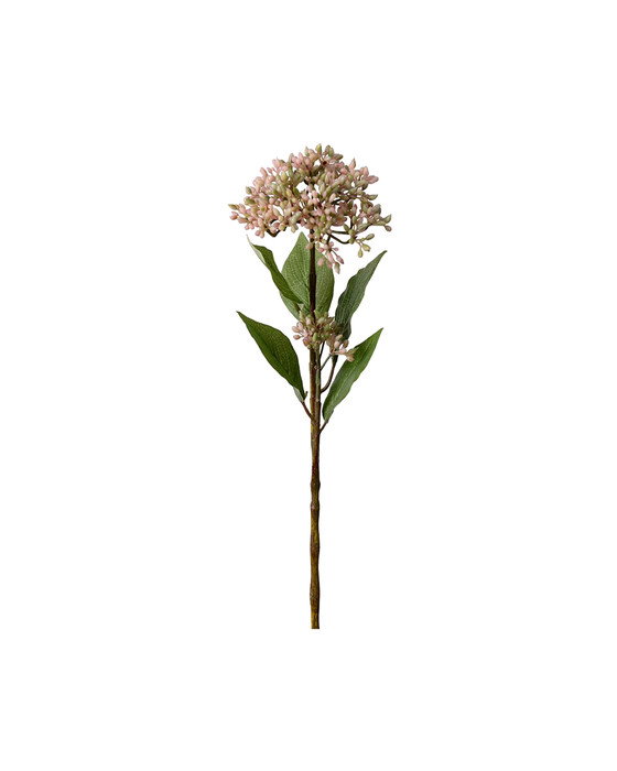 Newport Bärkvist snittblomma mörkrosa